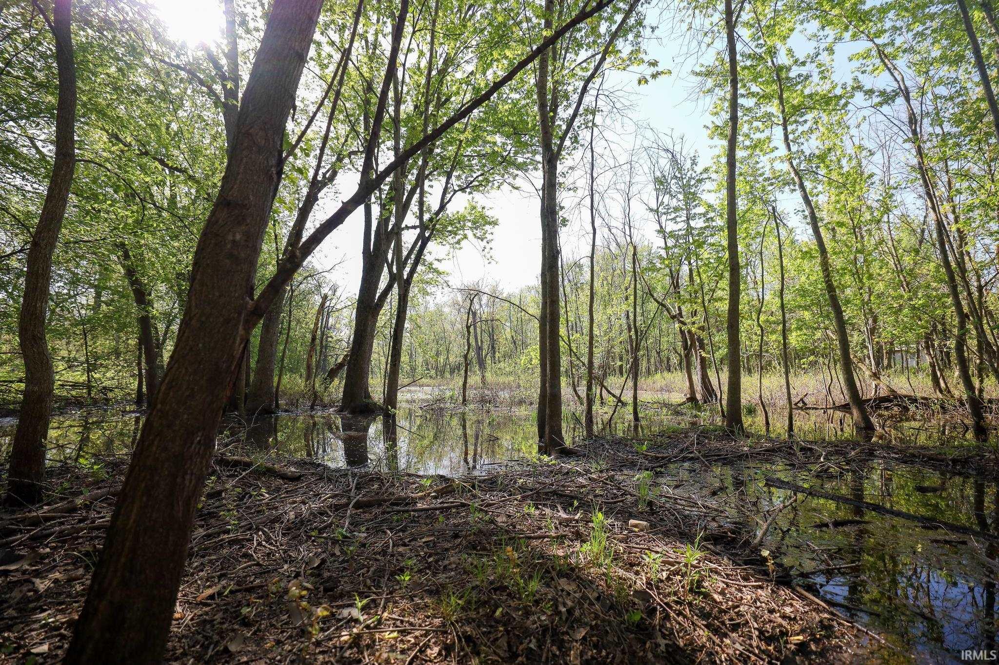  Sycamore Bend