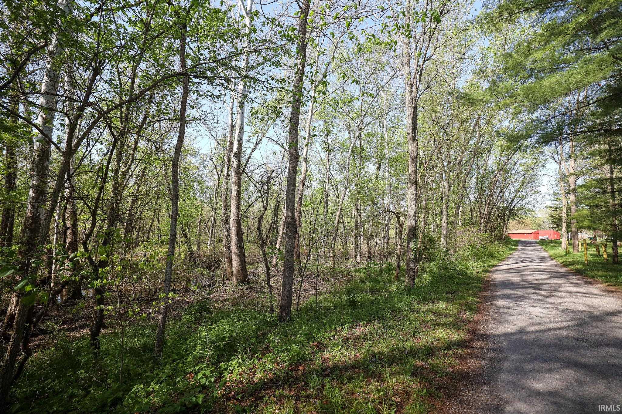  Sycamore Bend