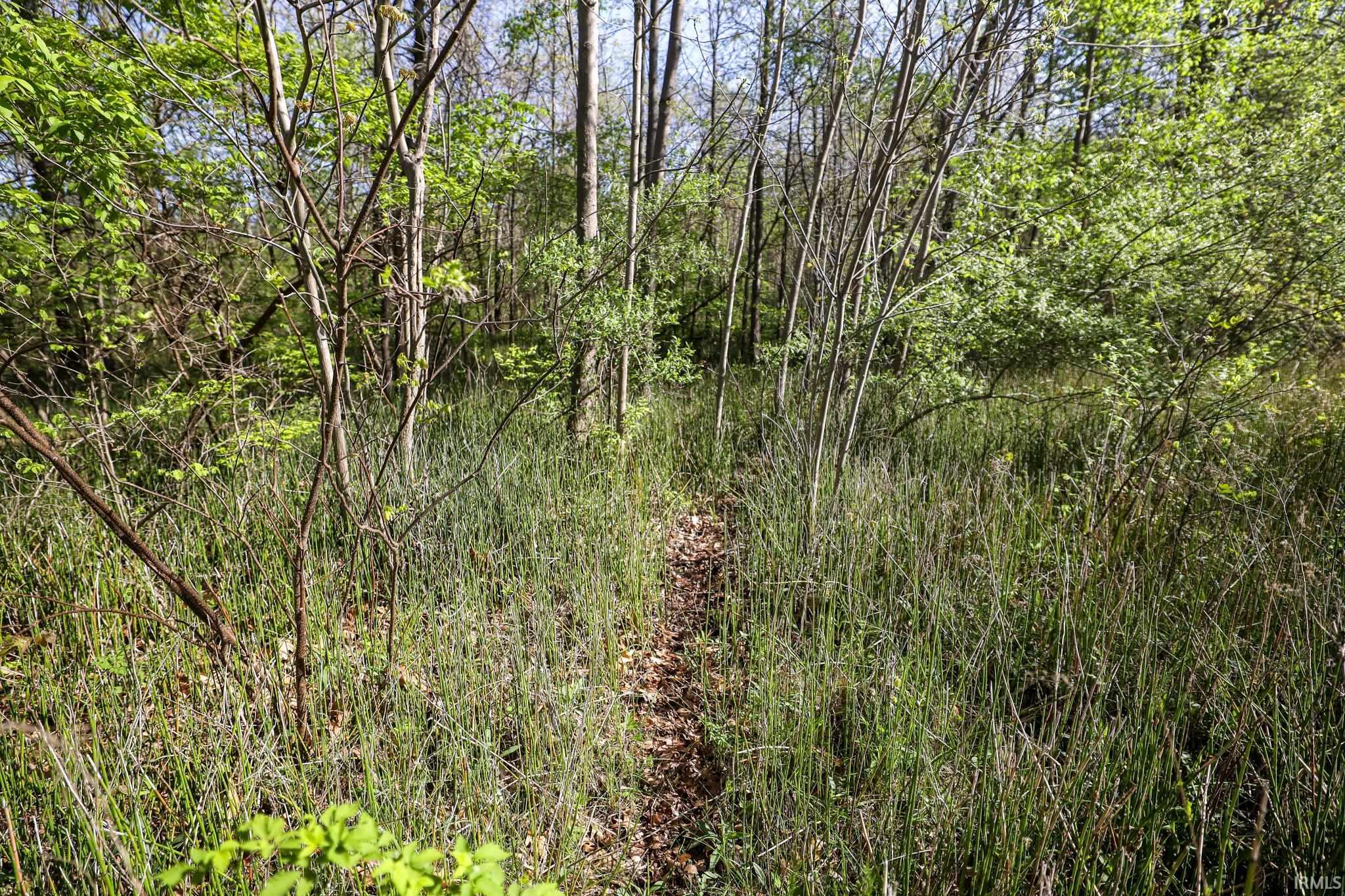  Sycamore Bend
