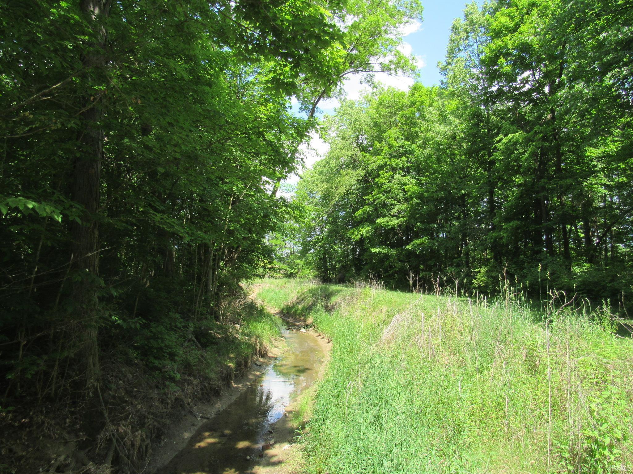 12720 Wayne Trace