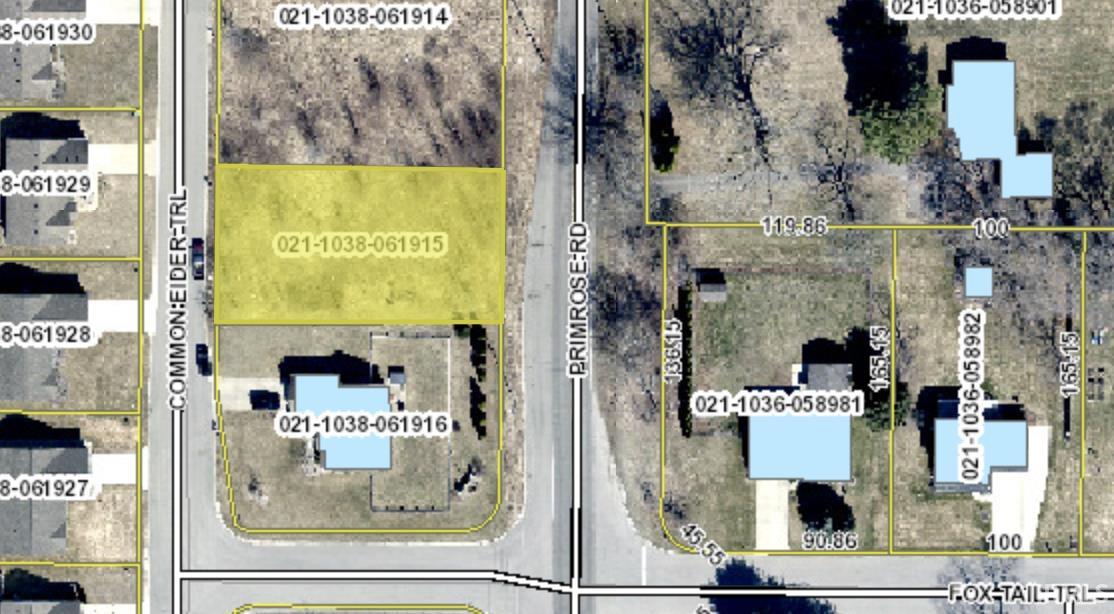 52628 Common Eider, Apt 199