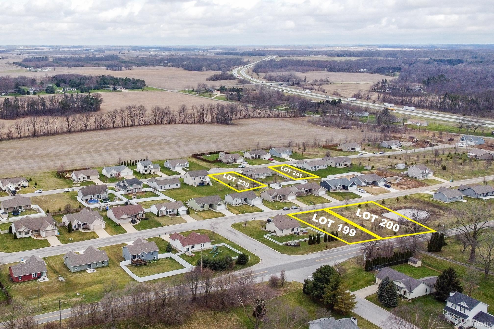 52628 Common Eider, Apt 199