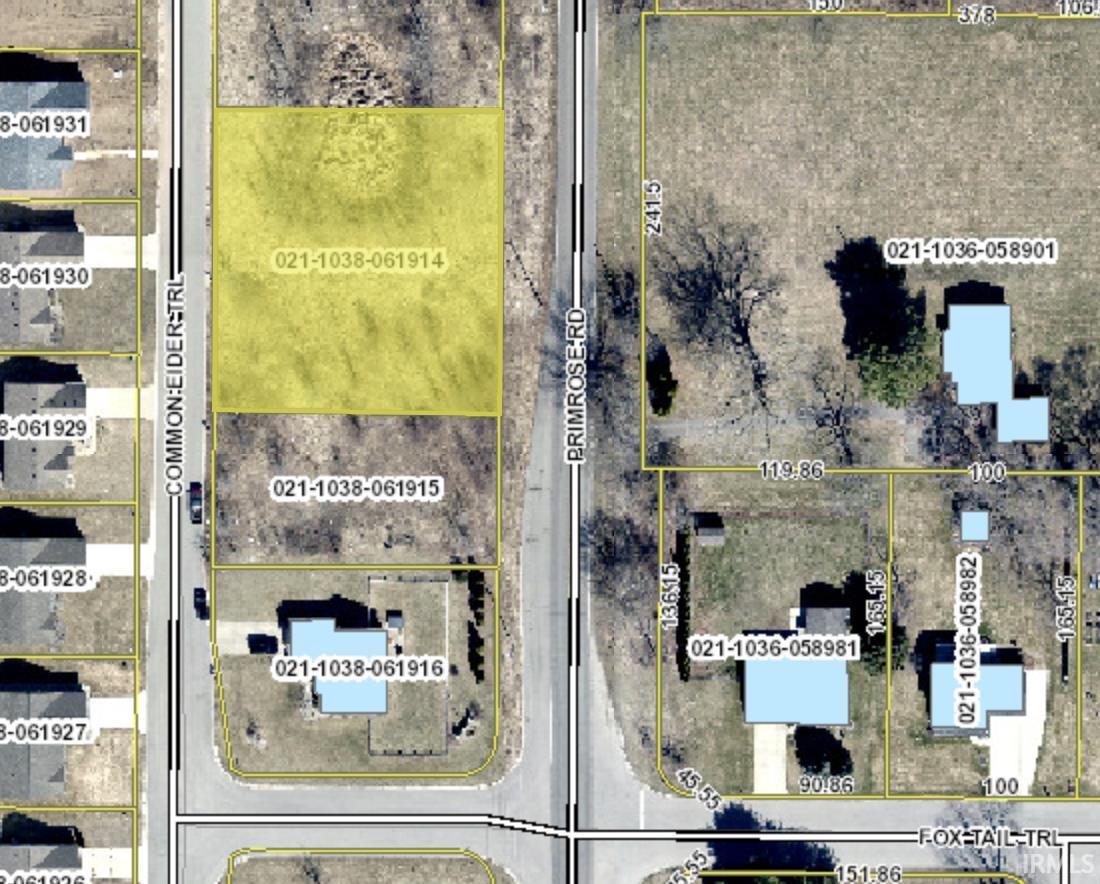 52612 Common Eider, Apt 200
