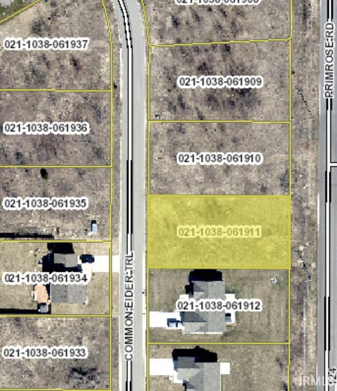 52532 Common Eider, Apt 203