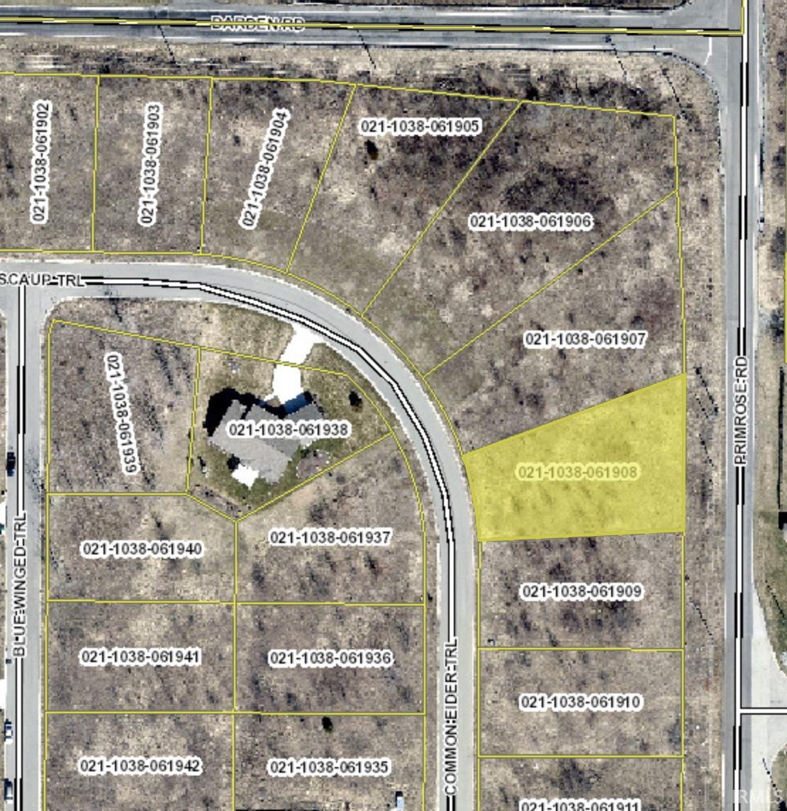 52484 Common Eider, Apt 206
