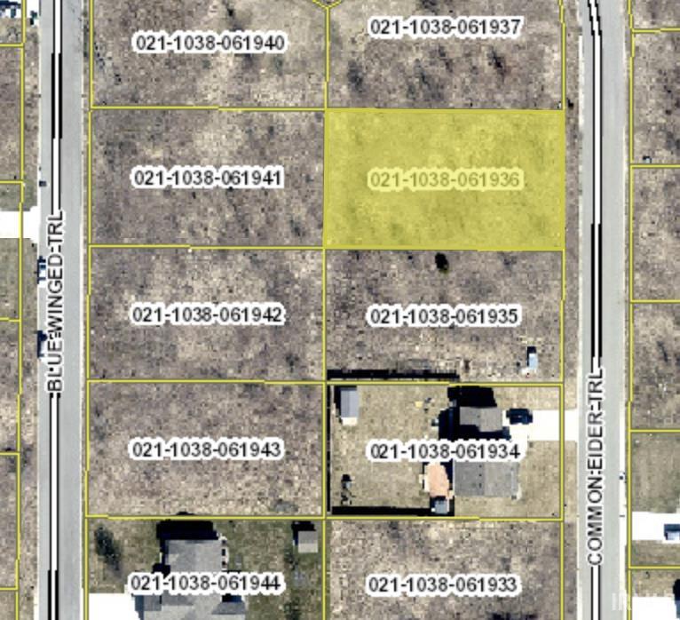 52507 Common Eider, Apt 219