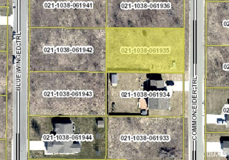 52523 Common Eider, Apt 220