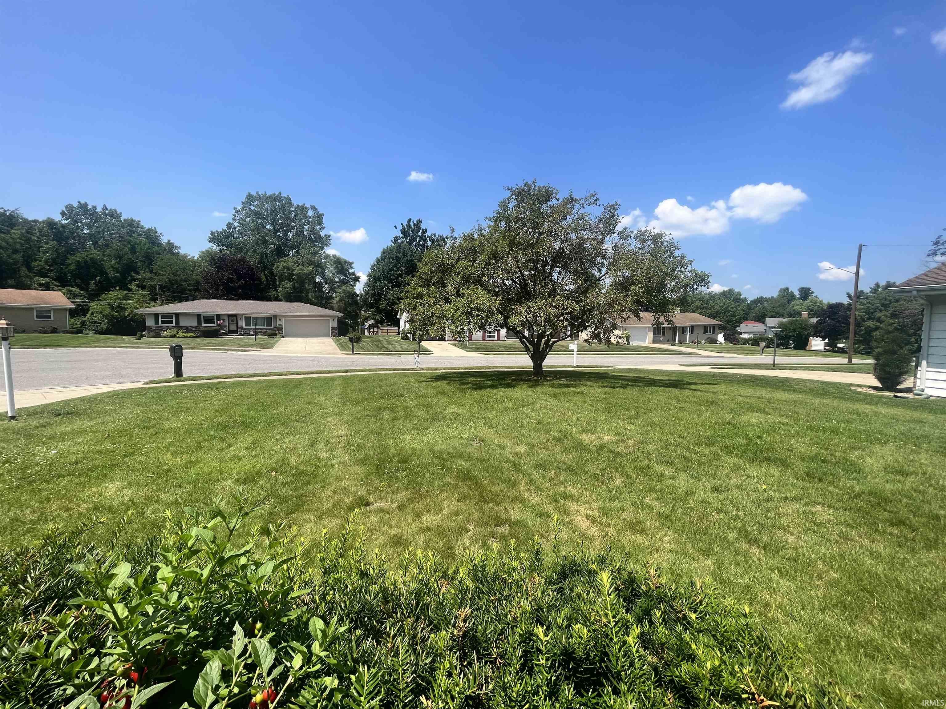 2632 Oak Leaf