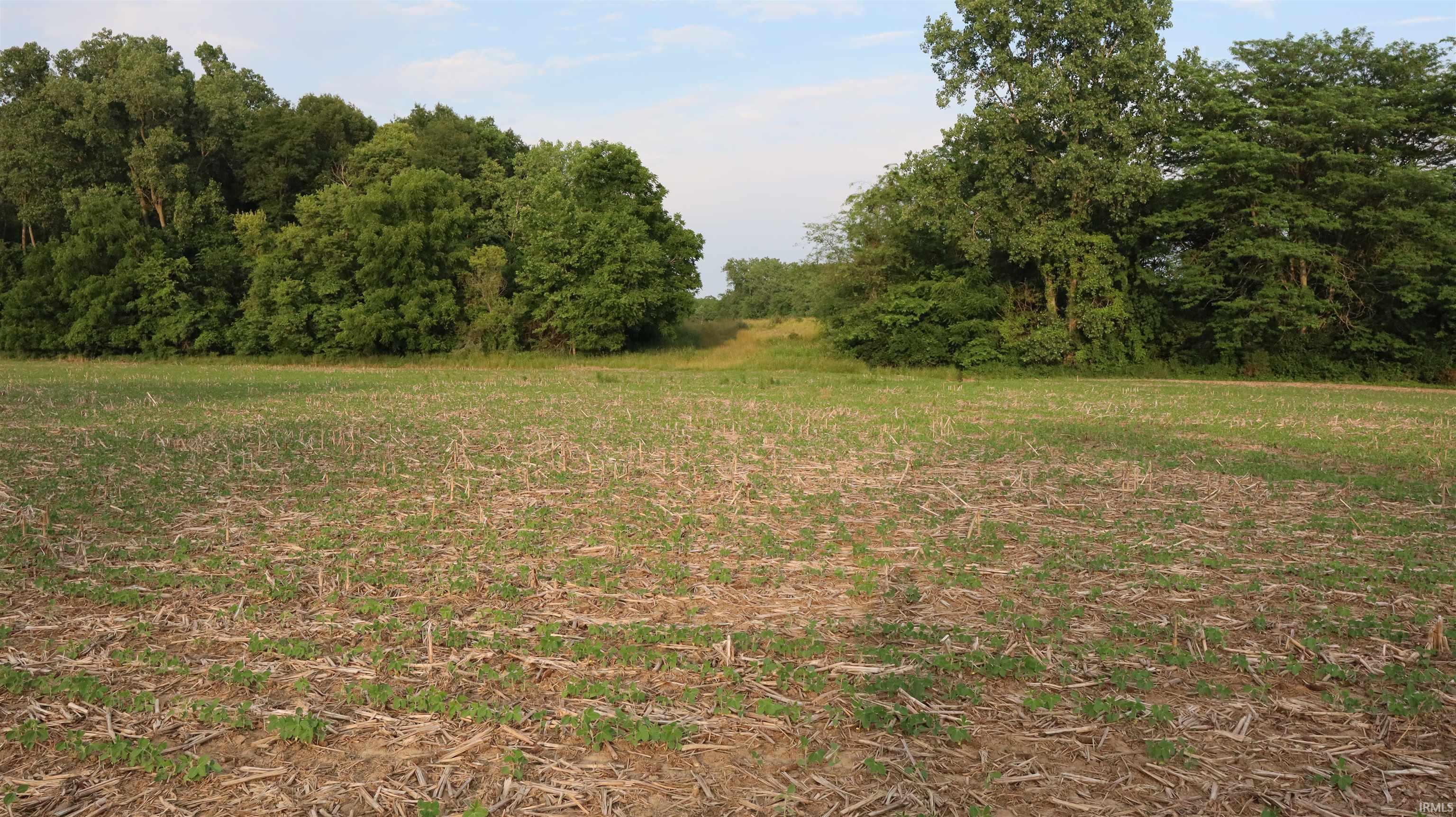 000 County Road 27