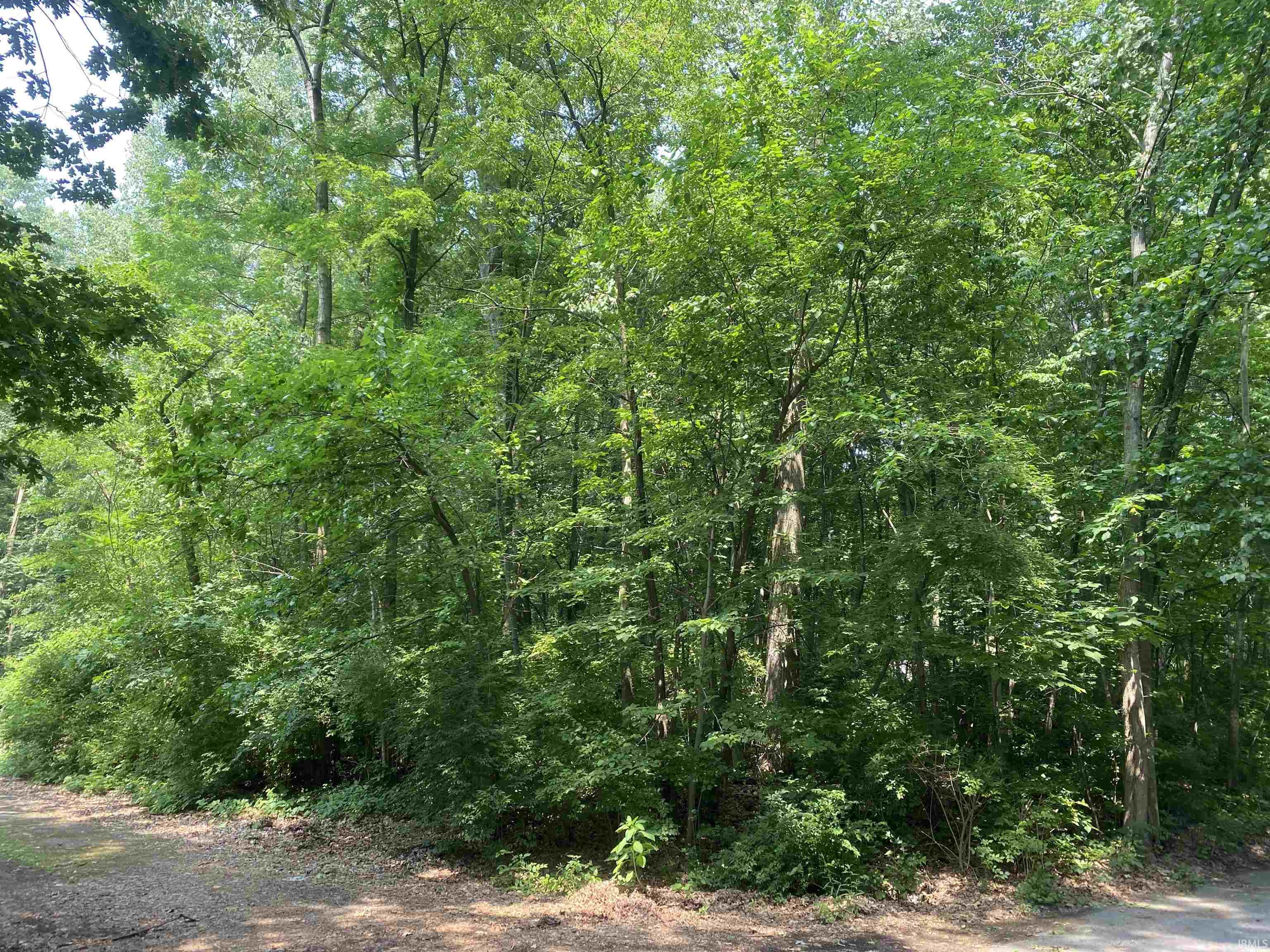5004 Ashwood