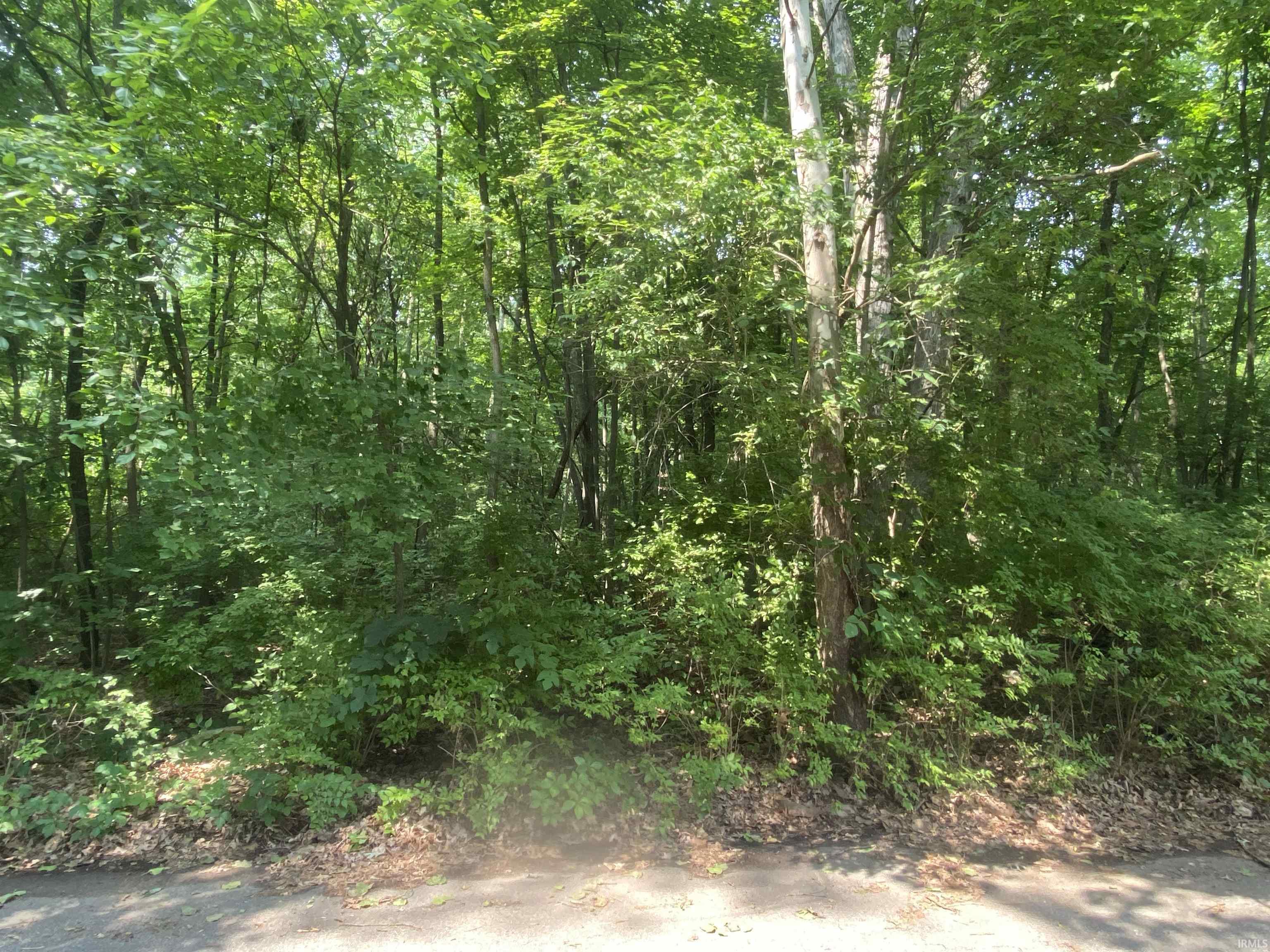 5013 Ashwood
