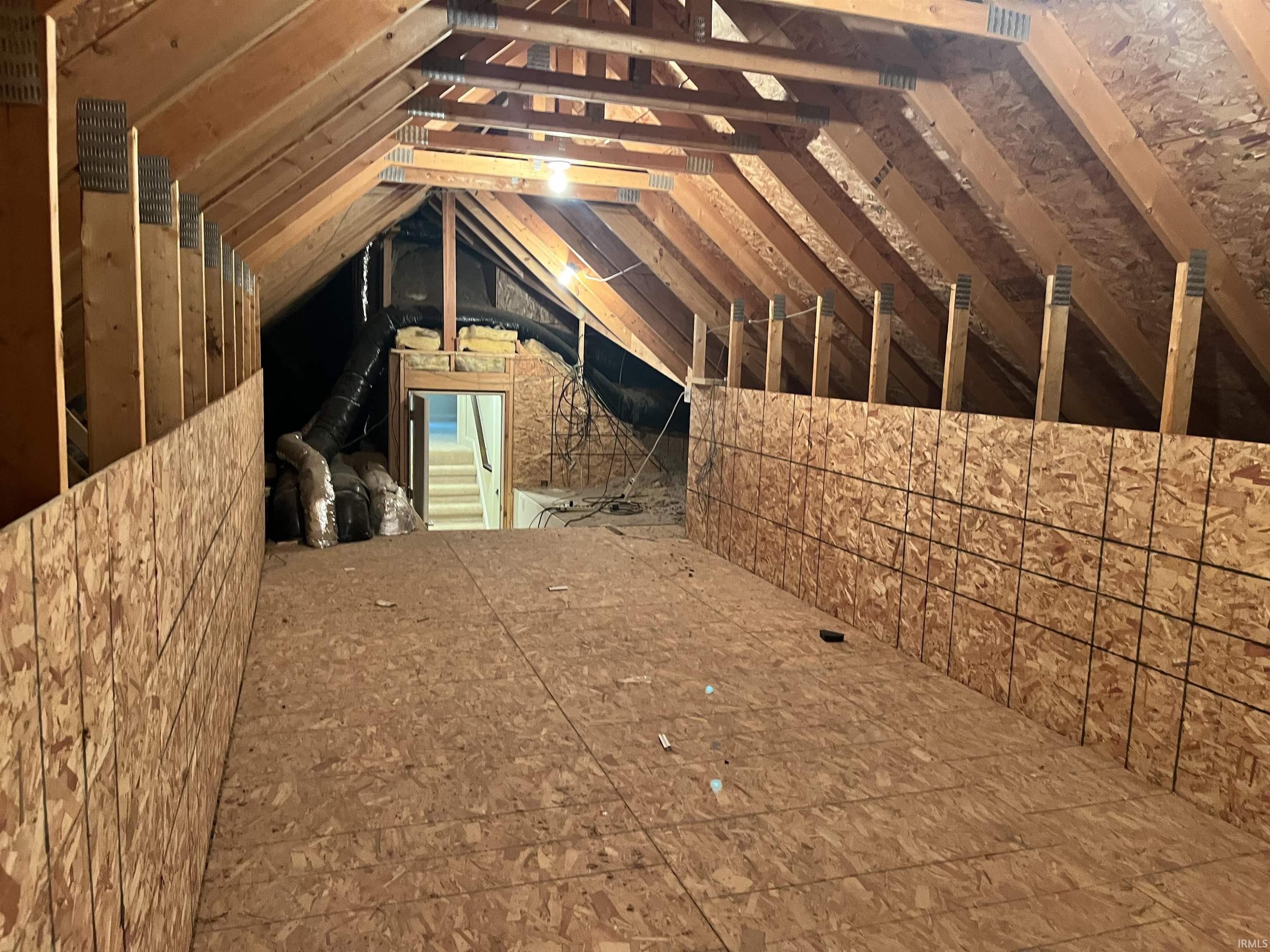 4919 Tall Cedar