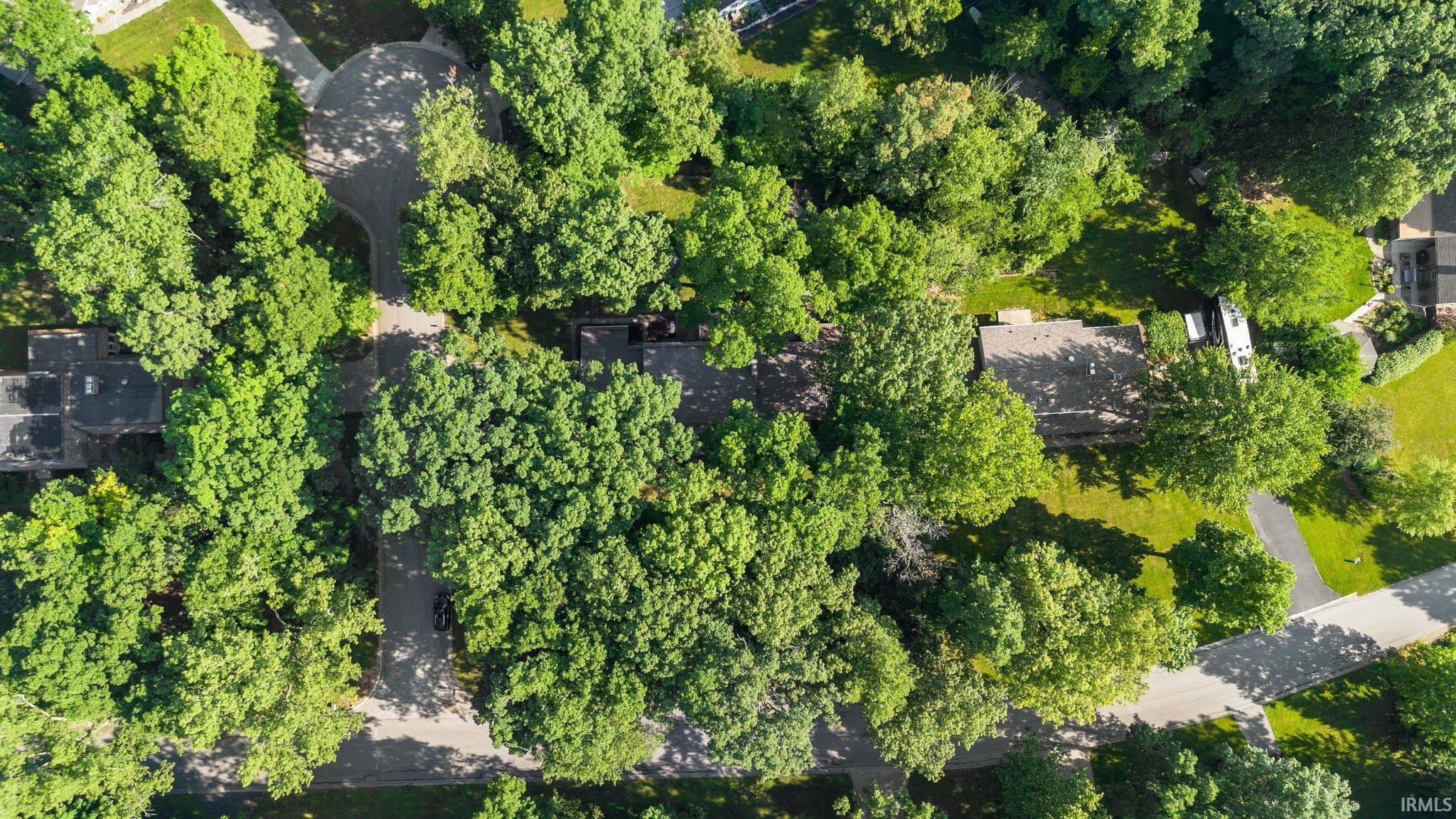 10234 Arbor