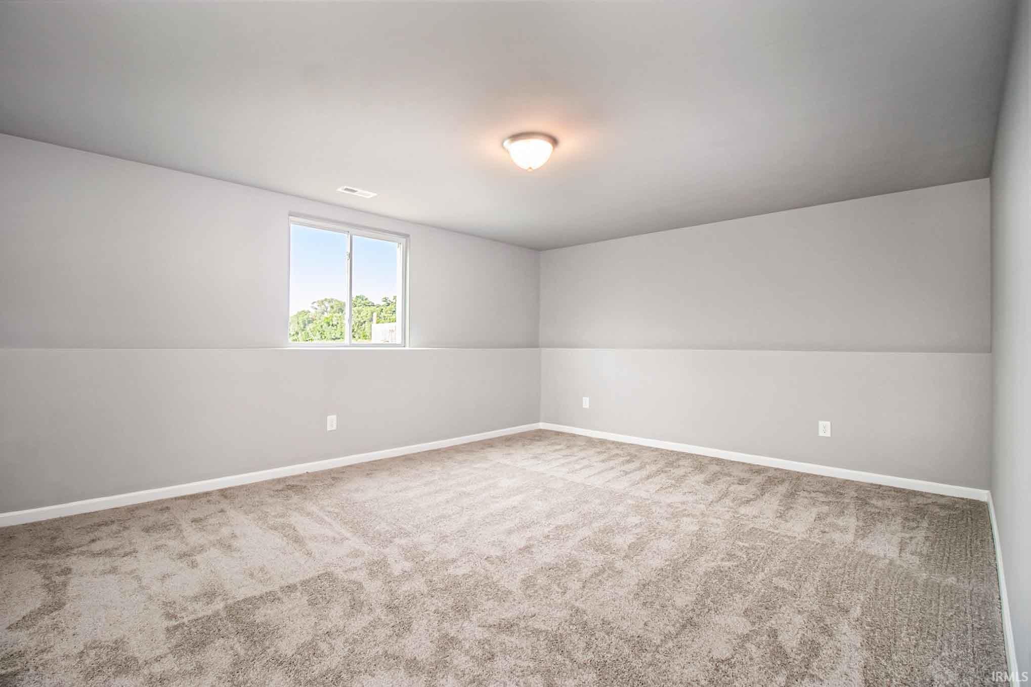 211 Norway Spruce