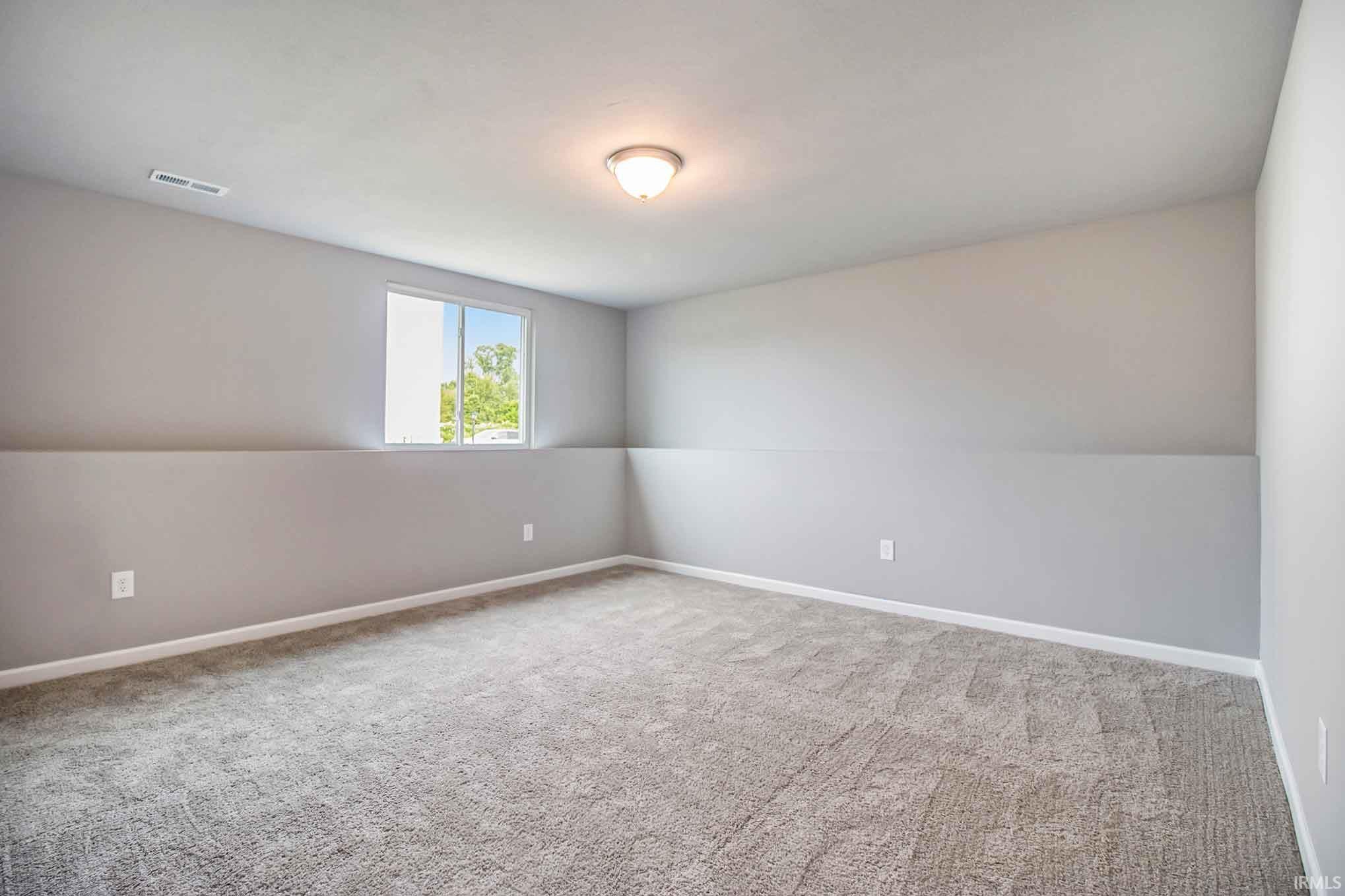 211 Norway Spruce