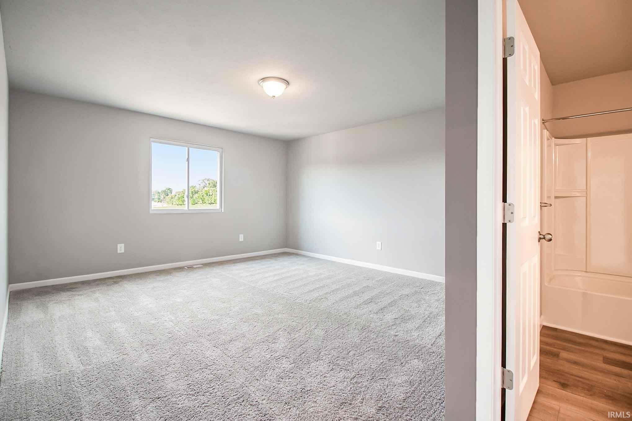 211 Norway Spruce