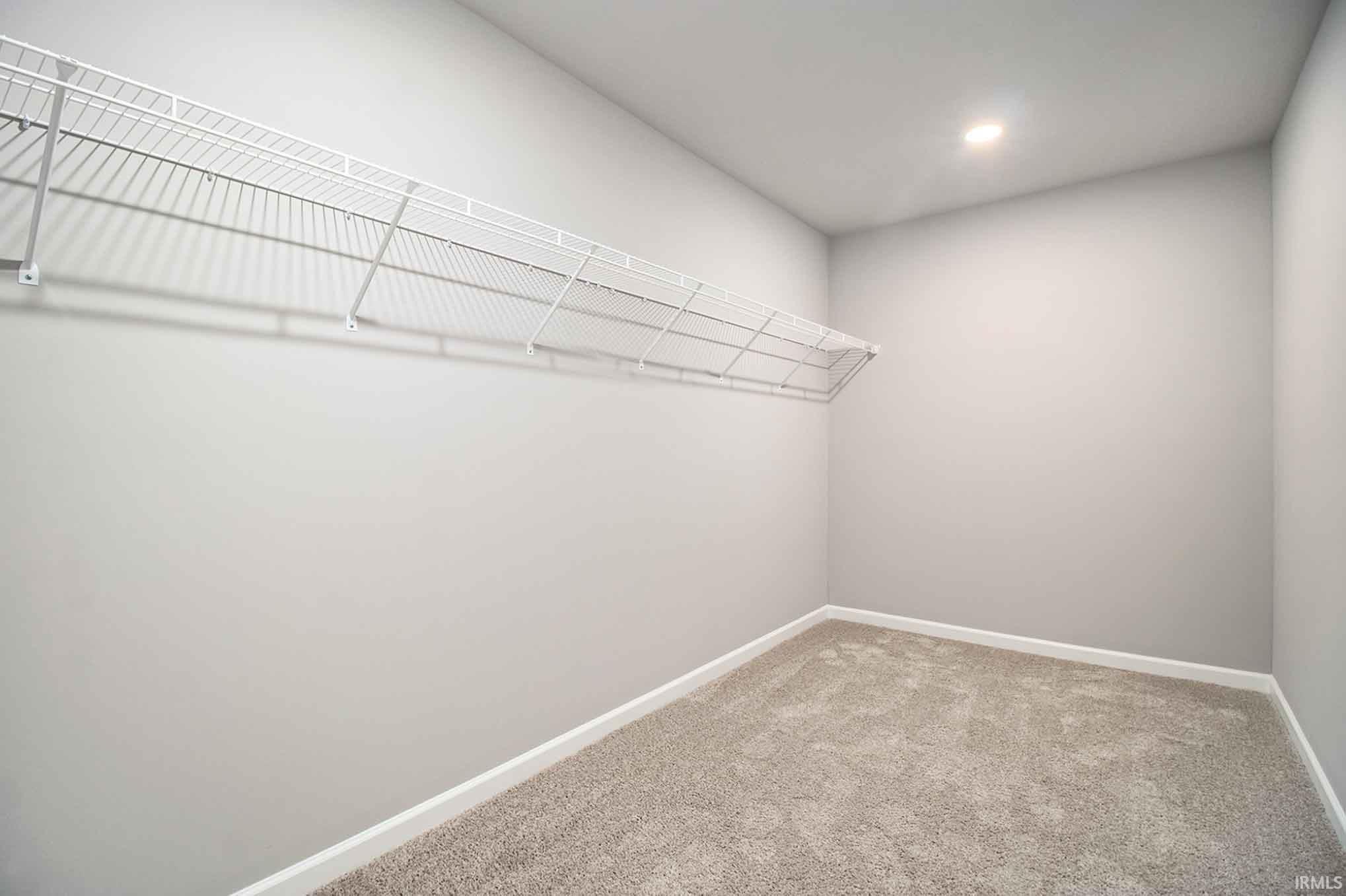 211 Norway Spruce