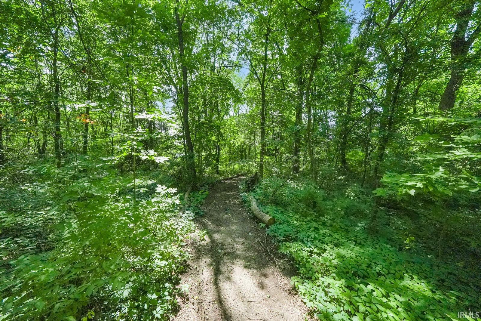 3110 Burr Oak