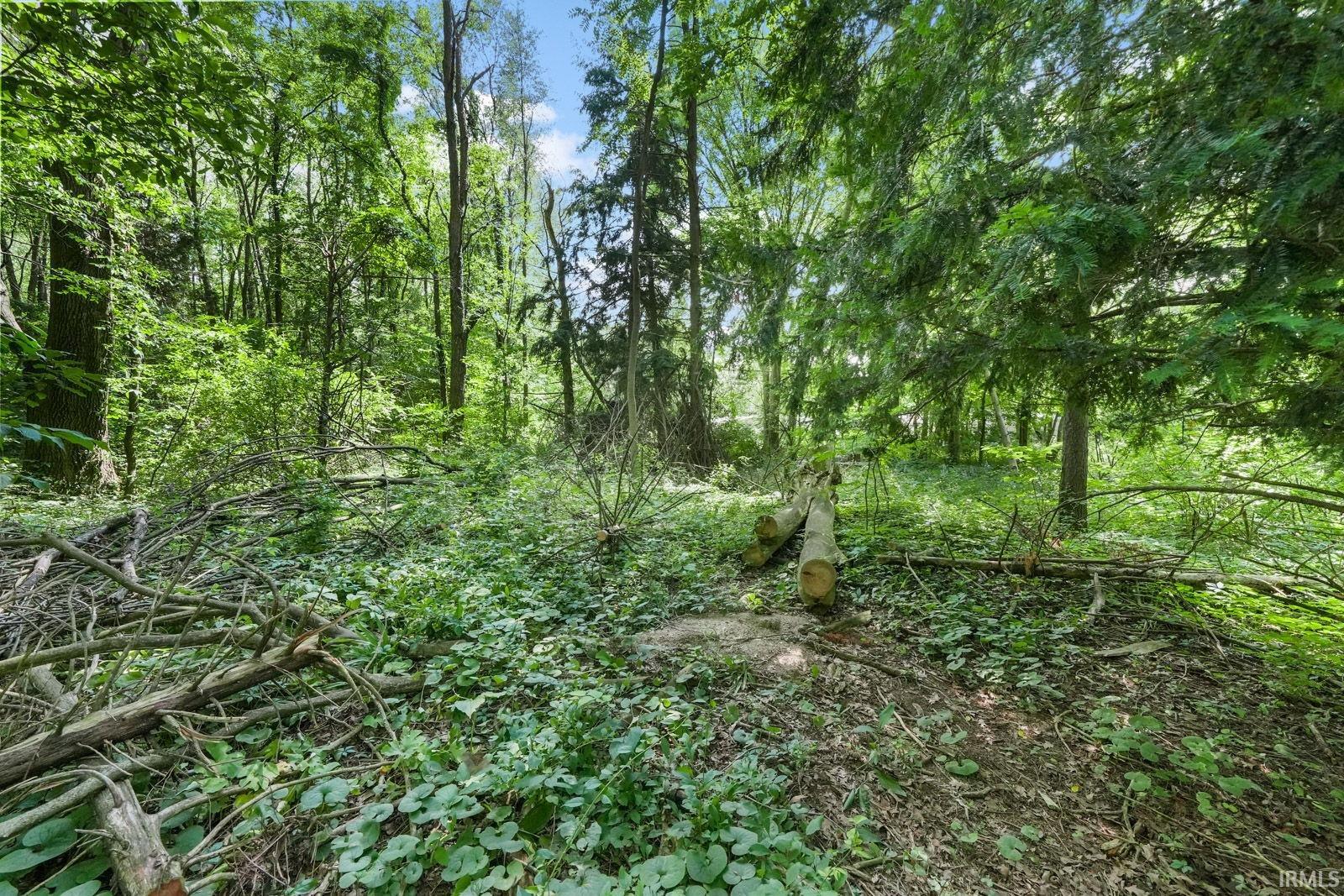 3110 Burr Oak