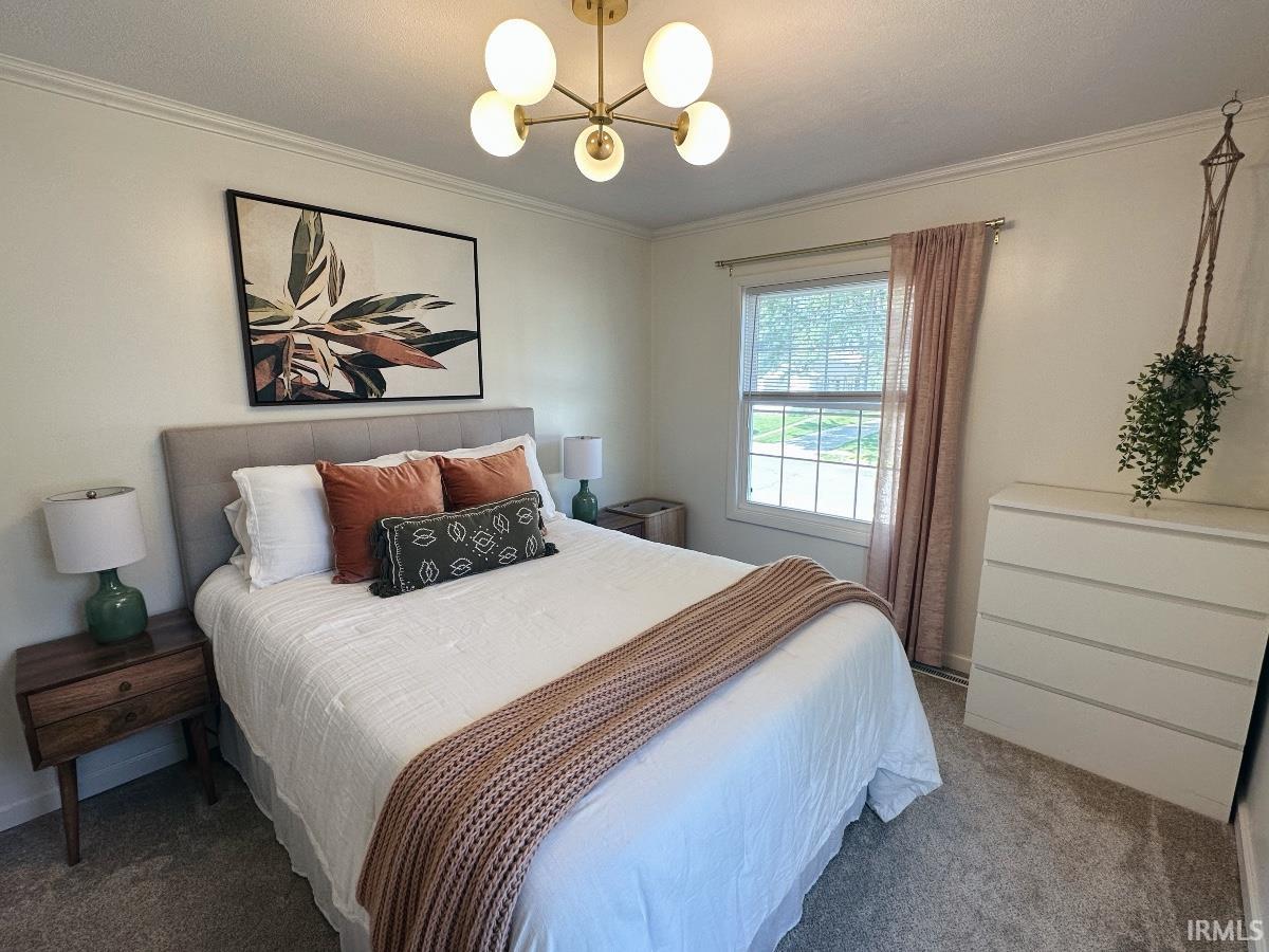 4134 Coral