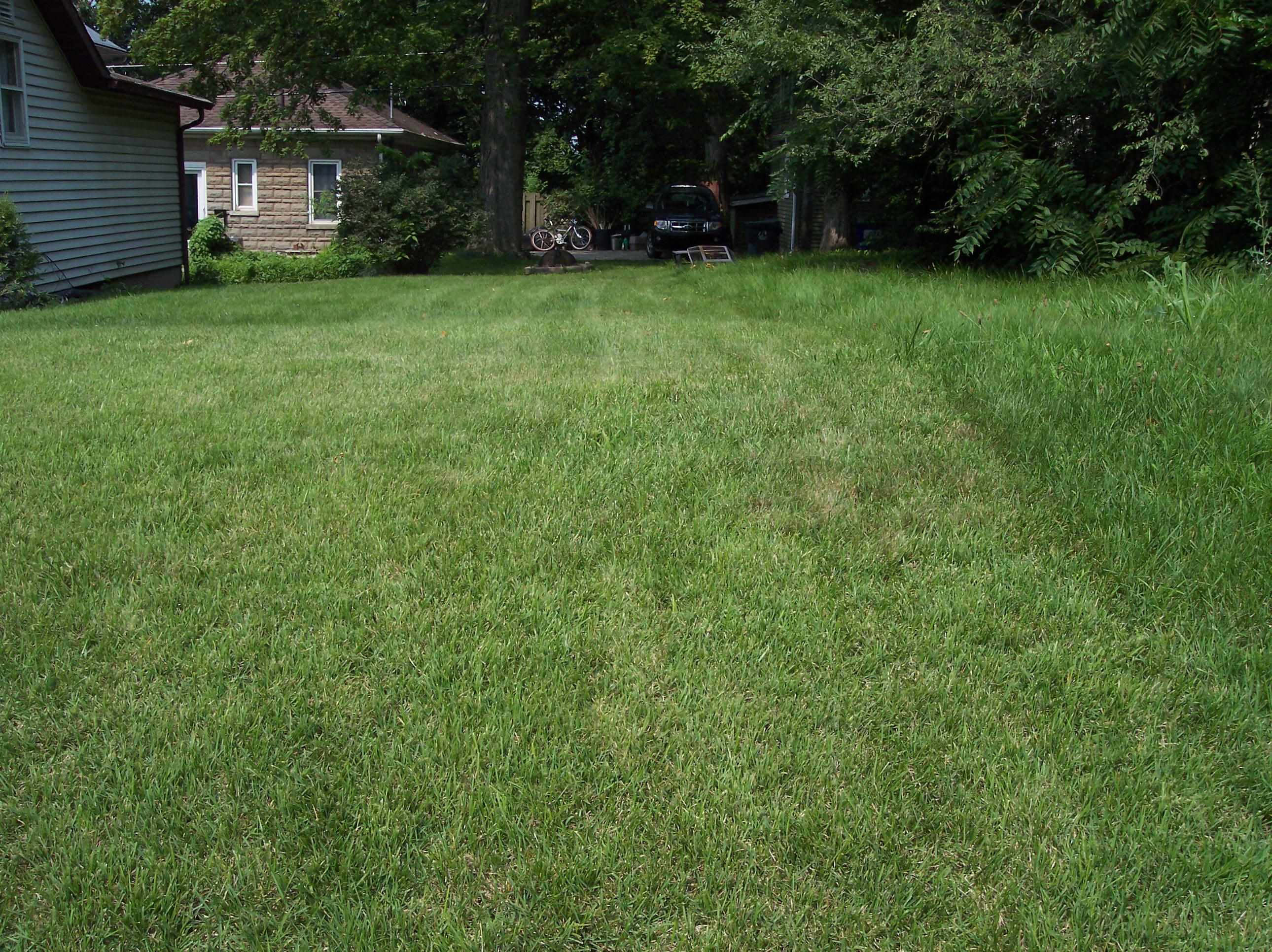 1406 Chestnut