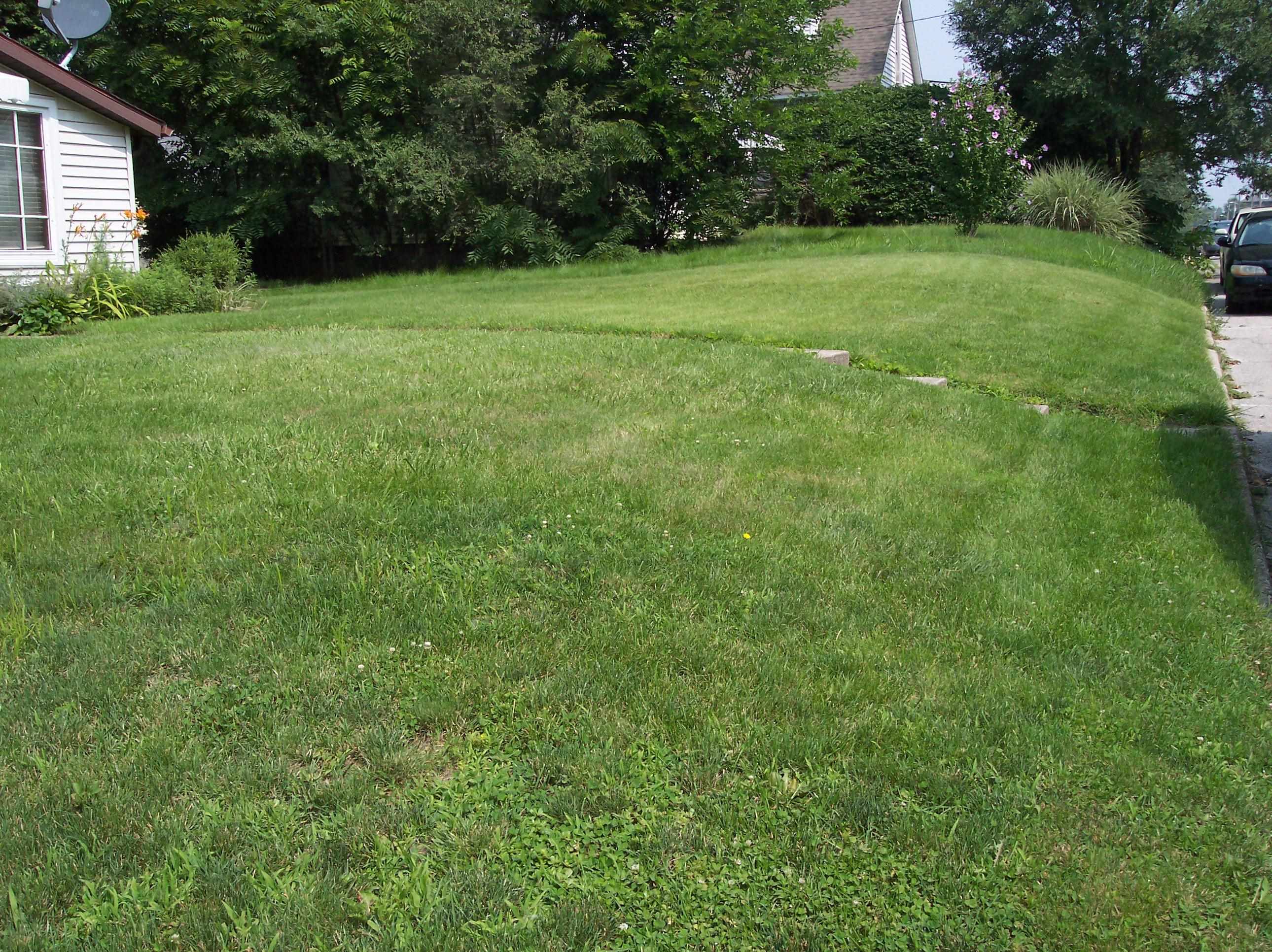 1406 Chestnut