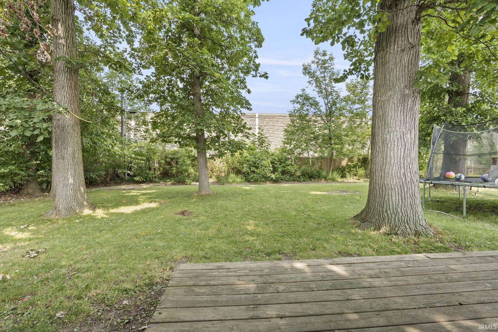 925 Tulip Tree