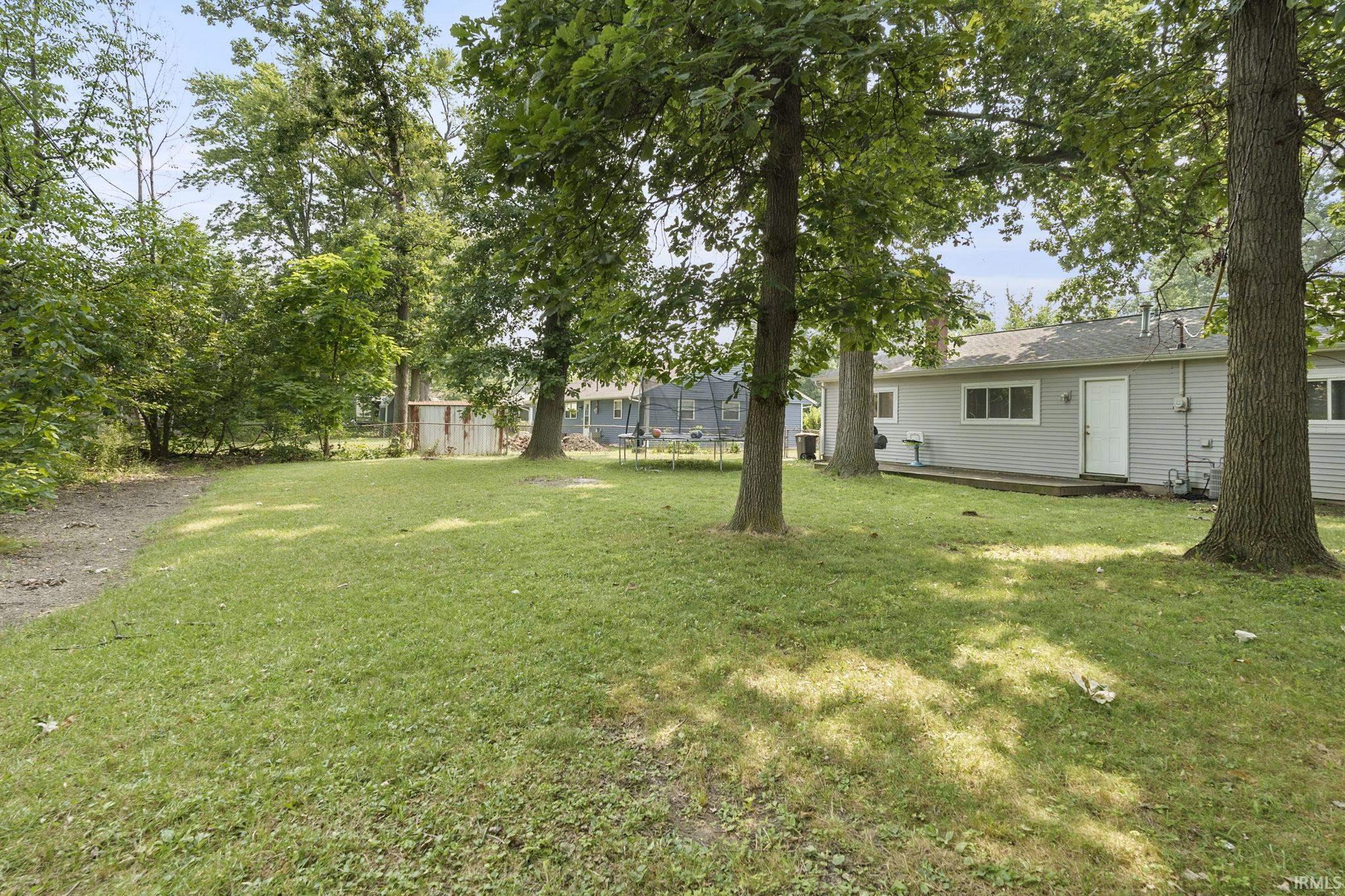 925 Tulip Tree