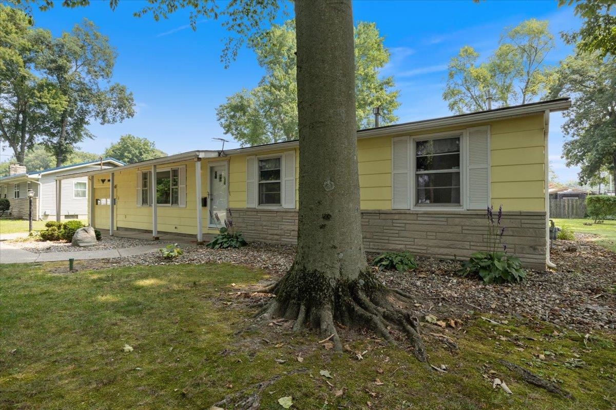 3682 Maple