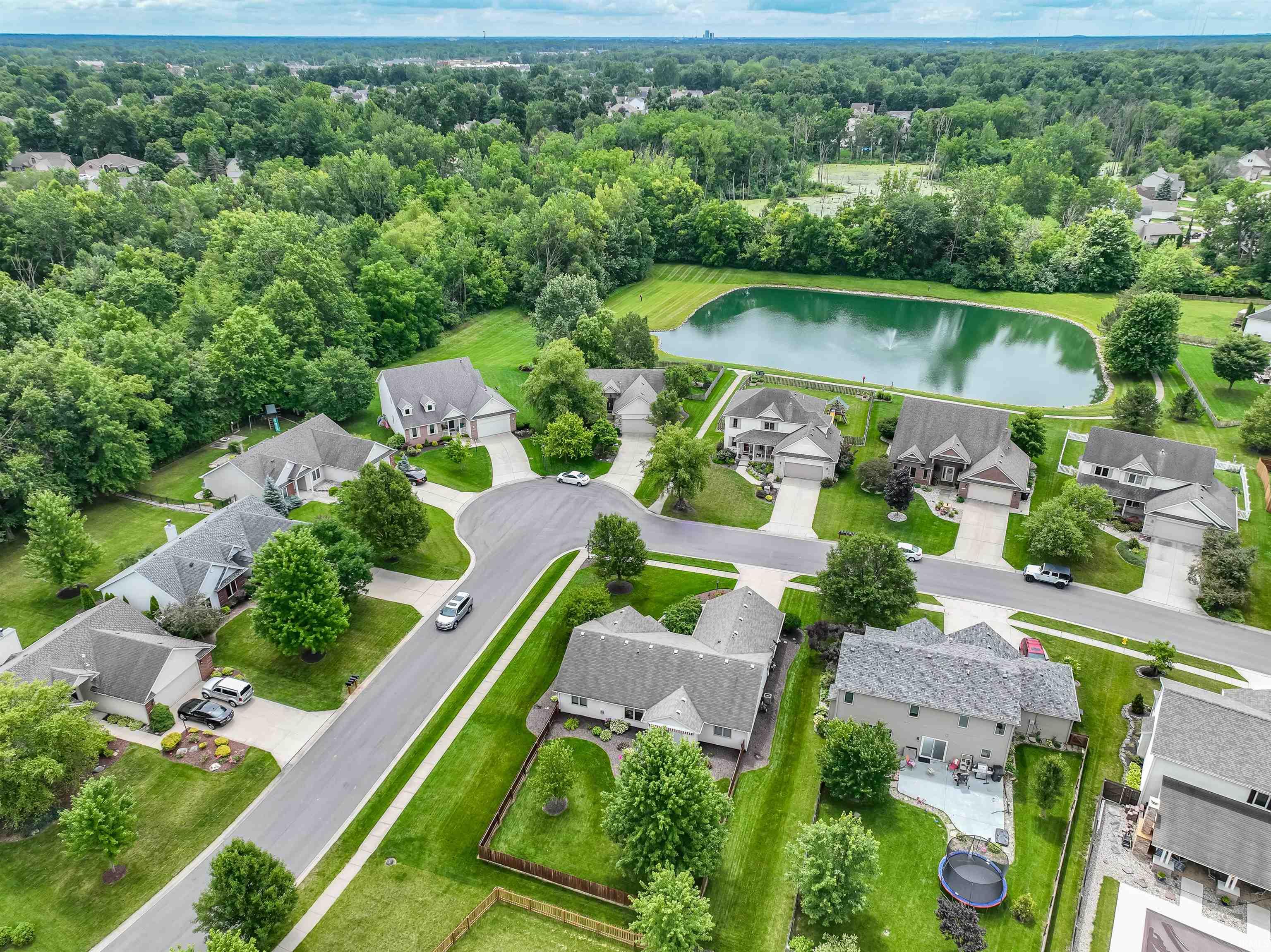 2410 Sugar Tree