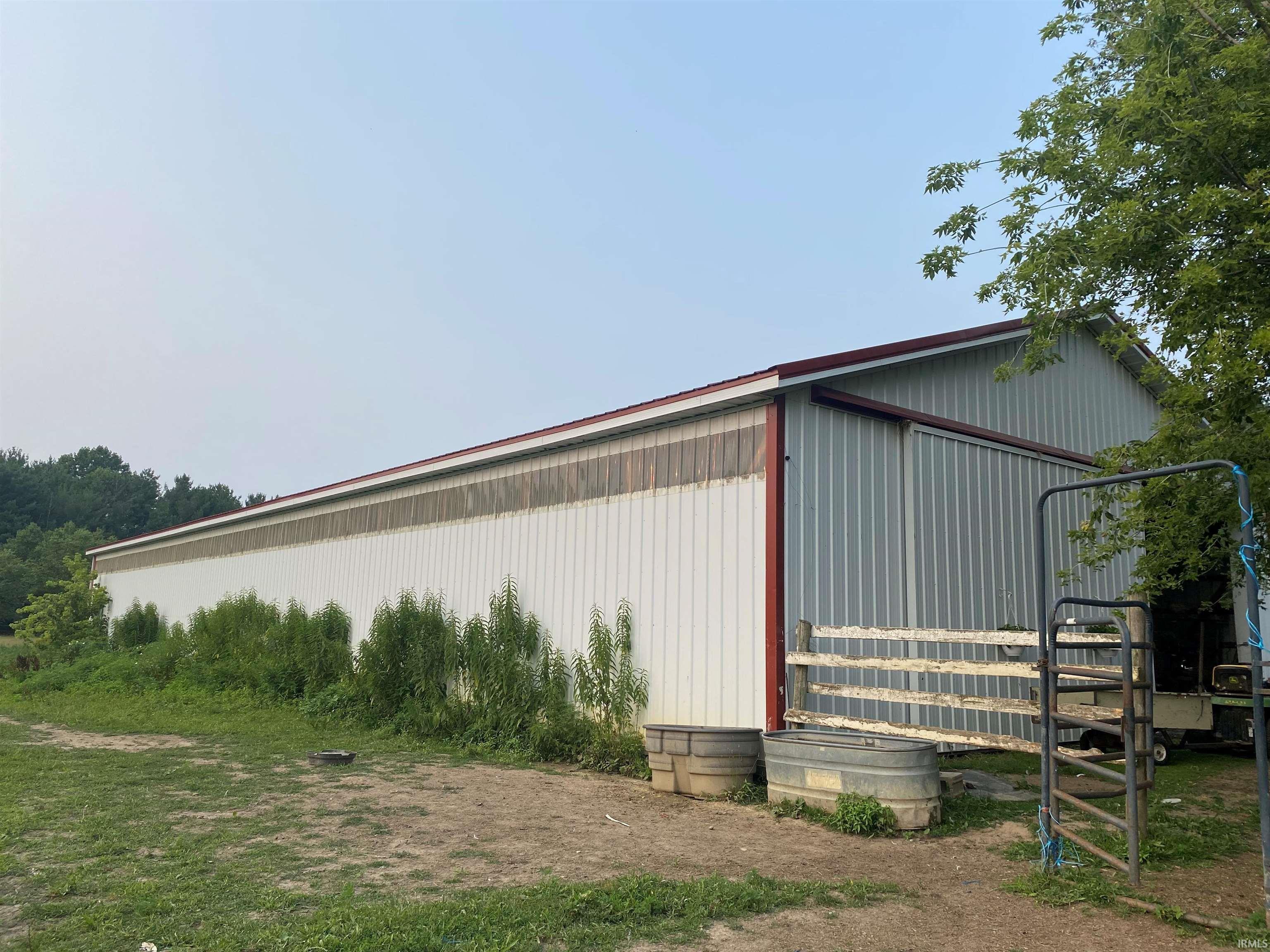 67447 Pine
