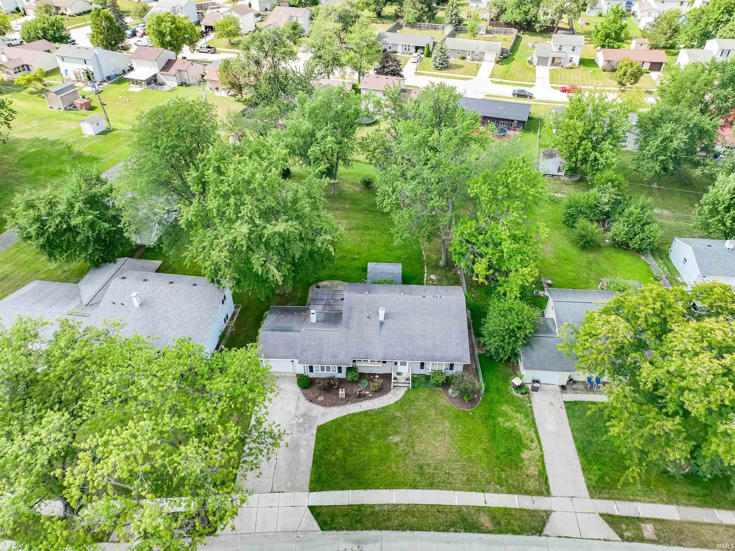 815 Elnora
