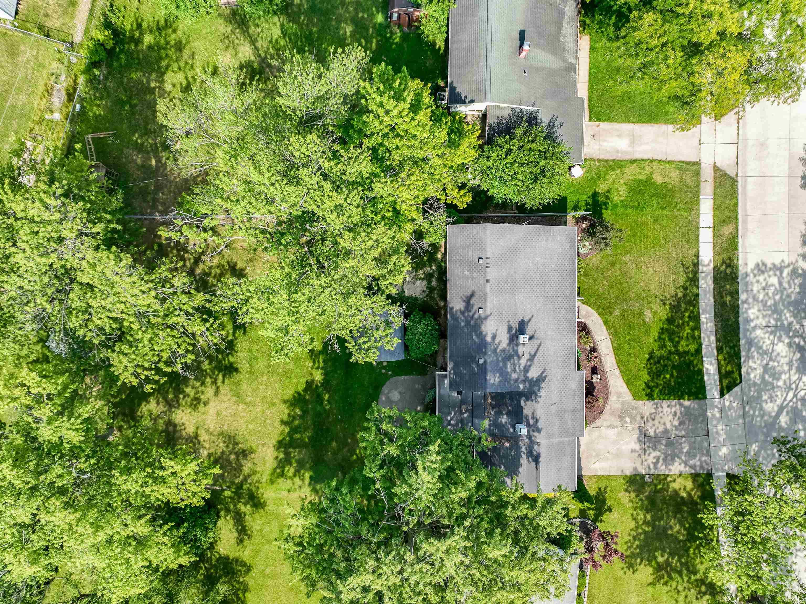 815 Elnora