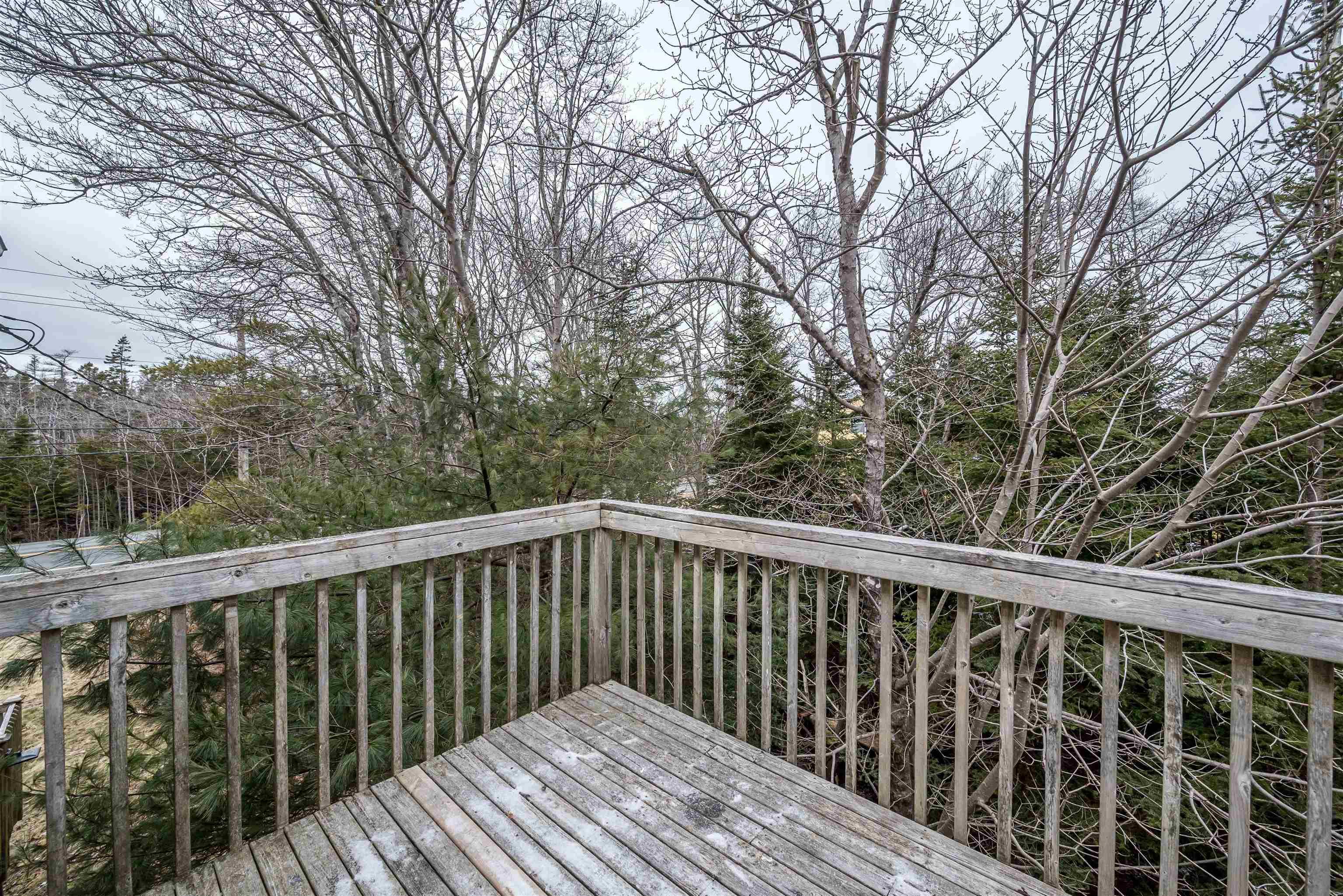 1568 Prospect Road photo #8
