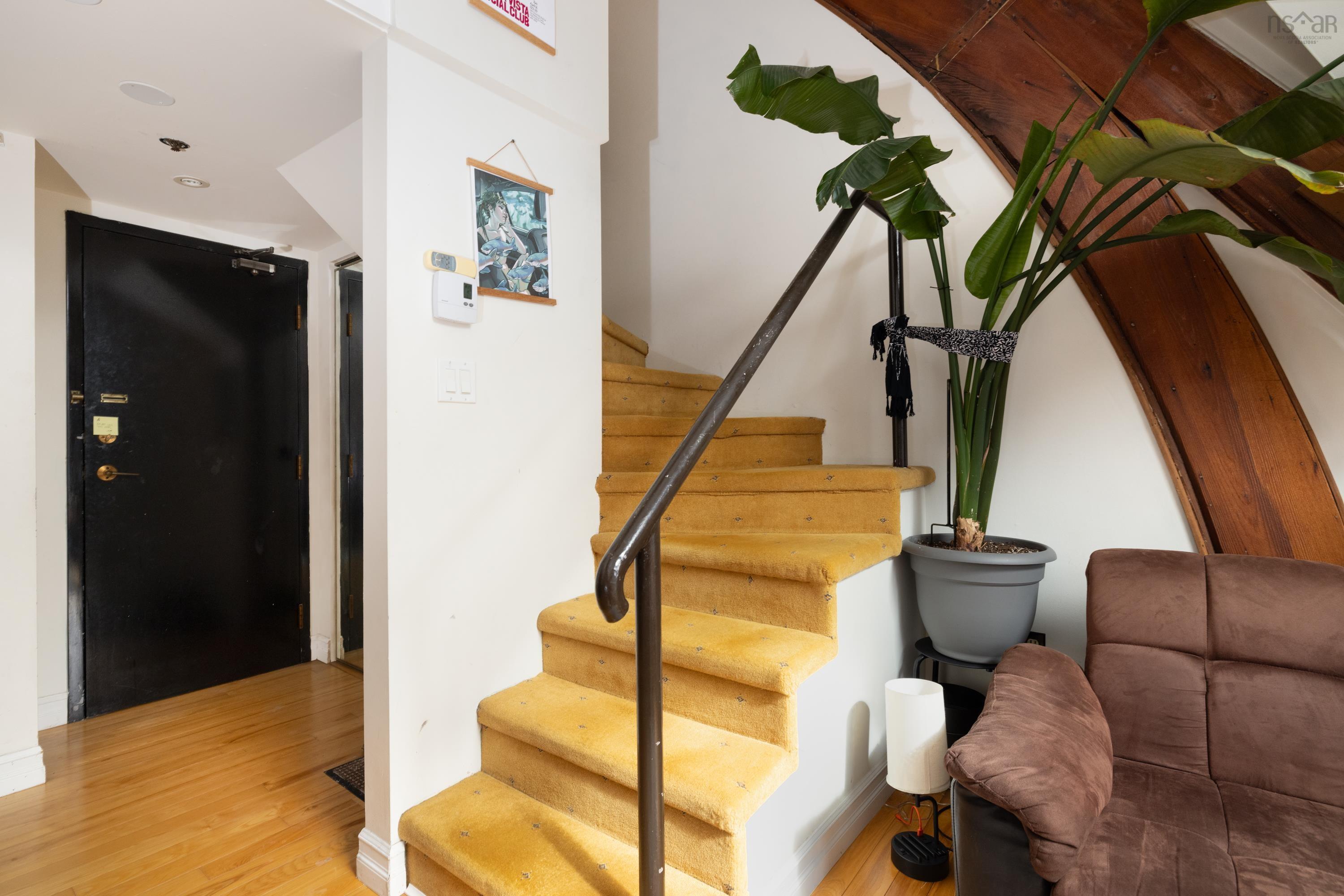 15 2128 Brunswick Street photo #4