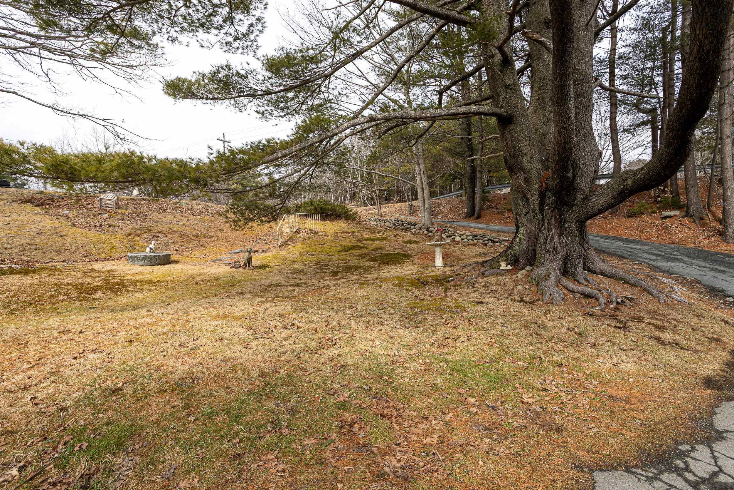 1427 Cobequid Road photo #47