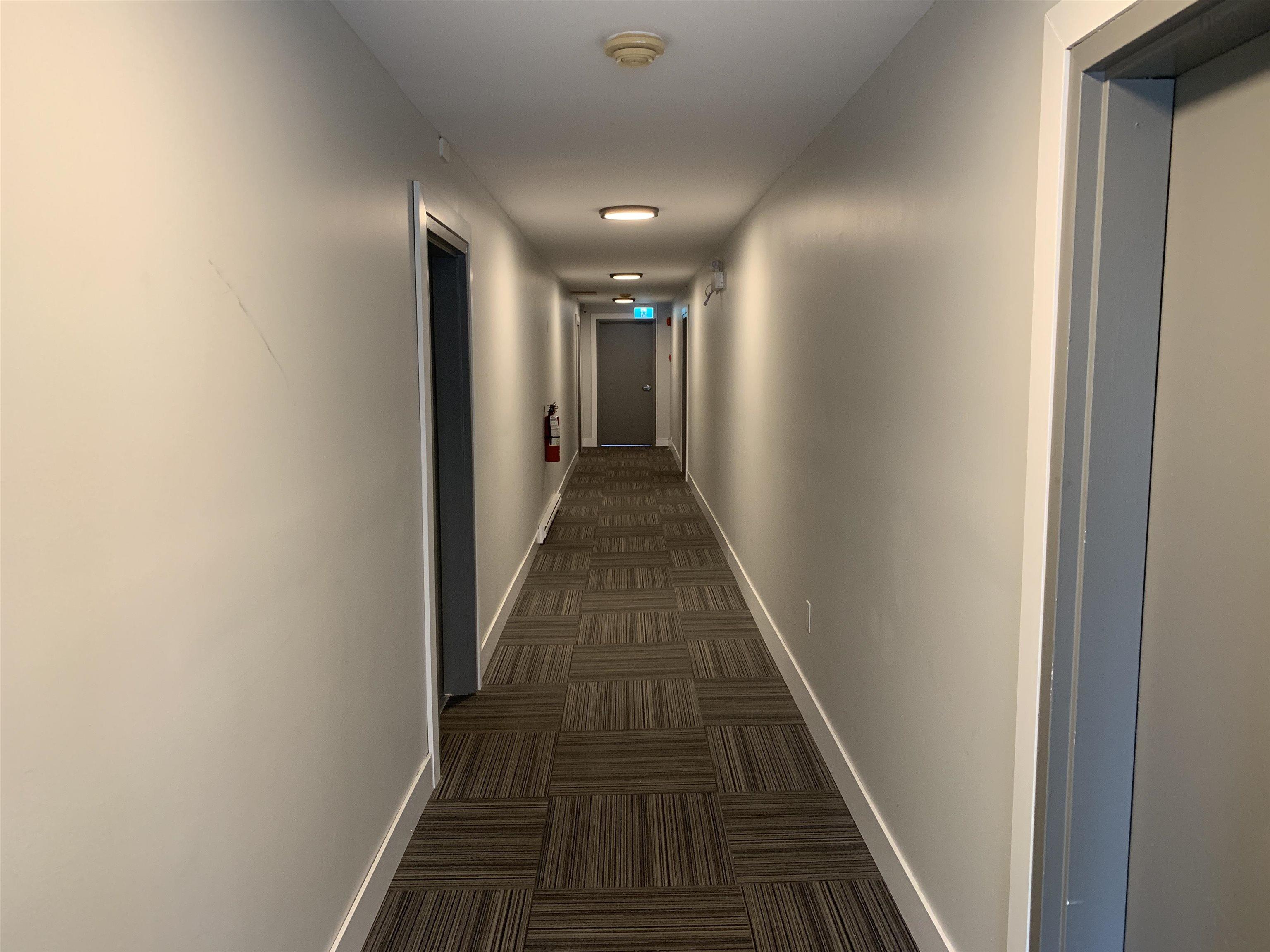 56 Evans Avenue photo #12