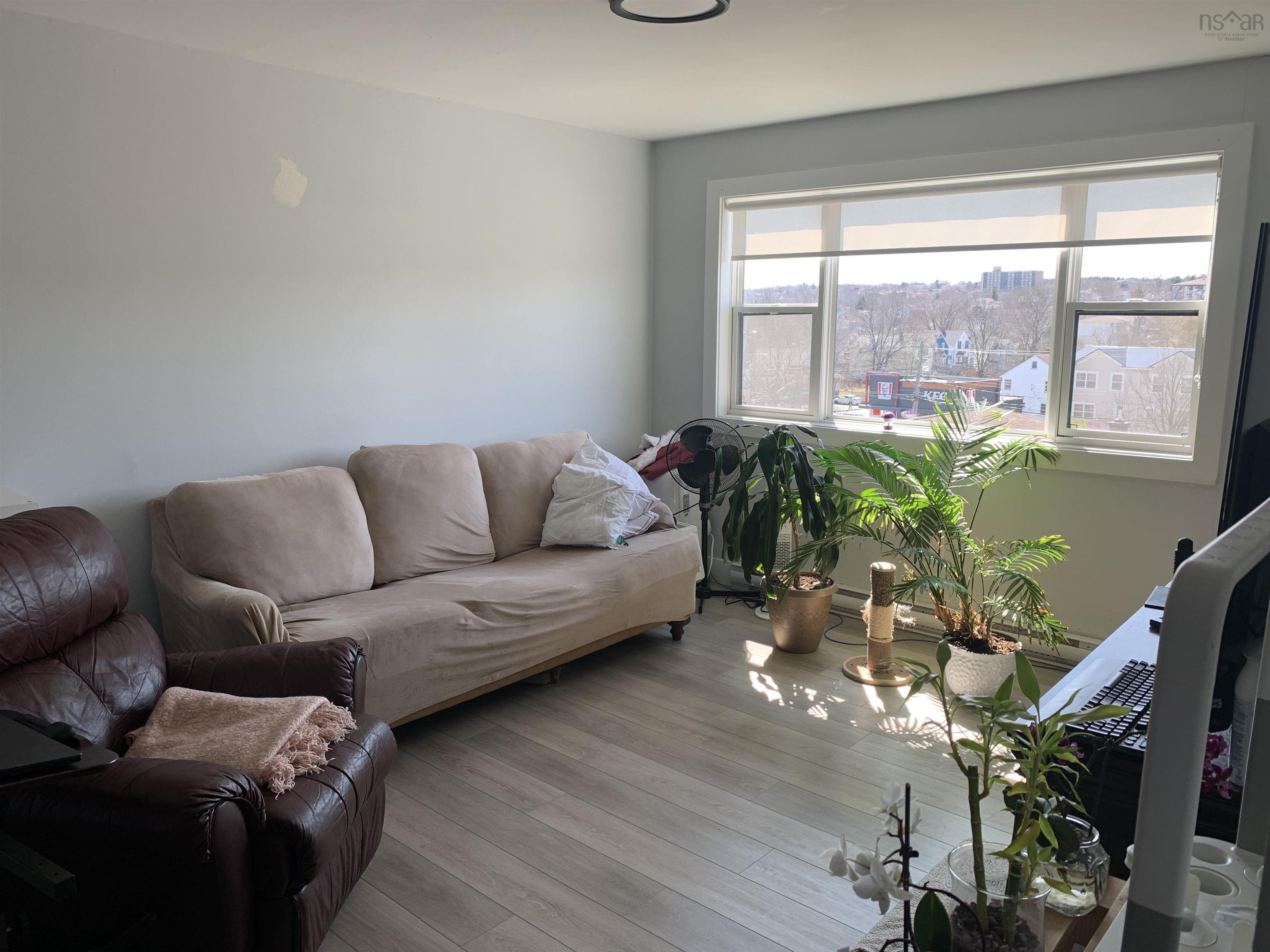 56 Evans Avenue photo #7