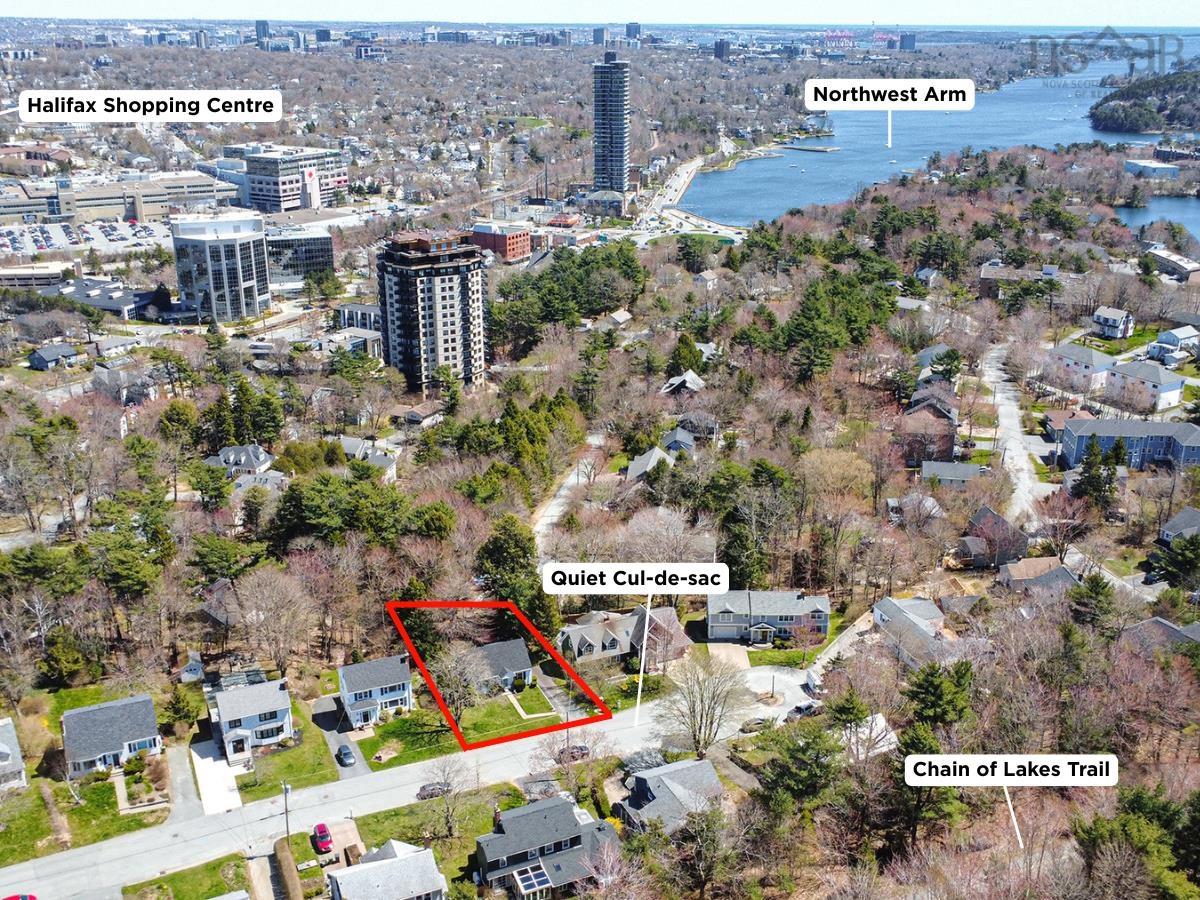 38 Walton Drive photo #4
