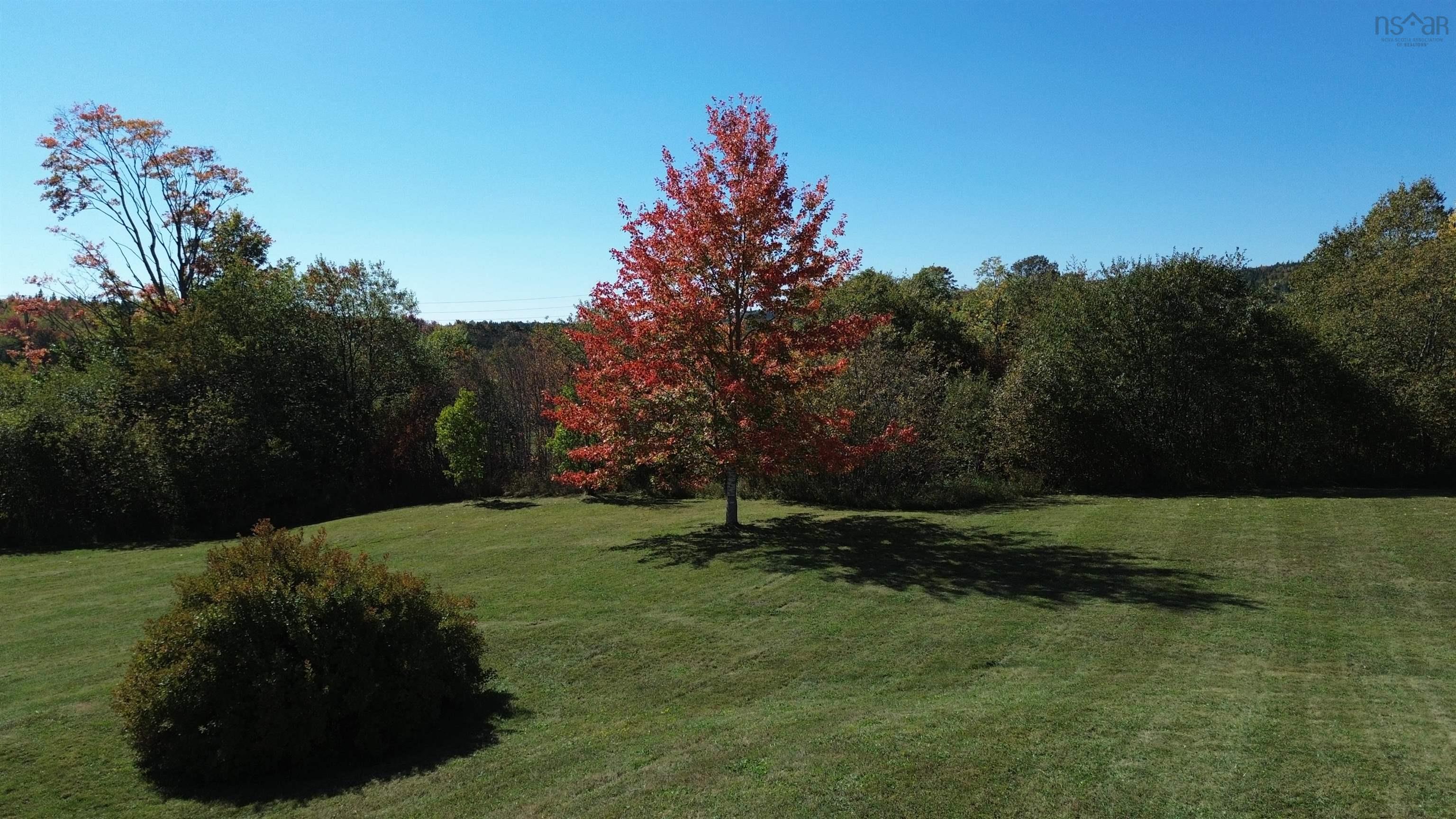 703 336 Highway photo #49