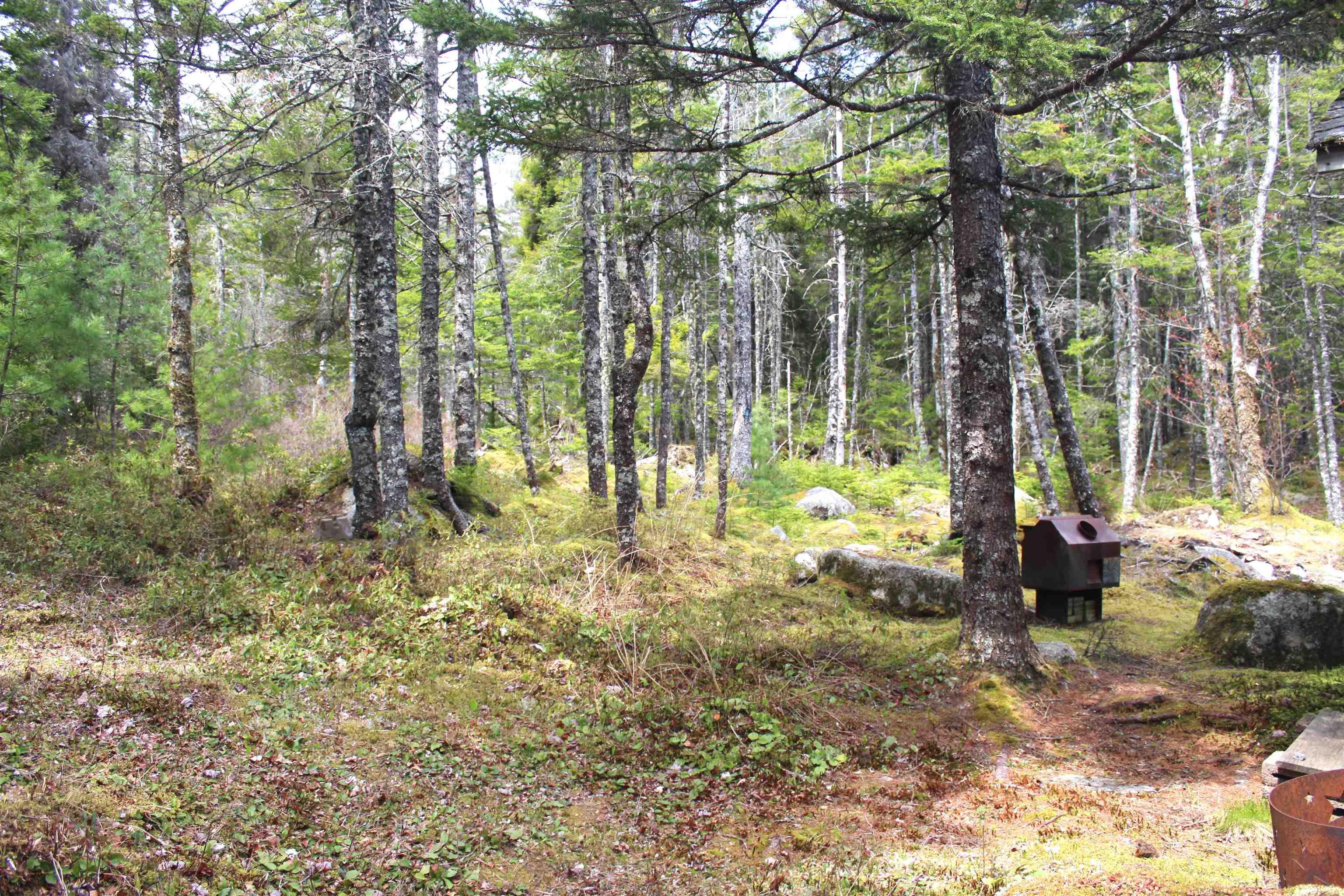 1A Lake Charlotte photo #11