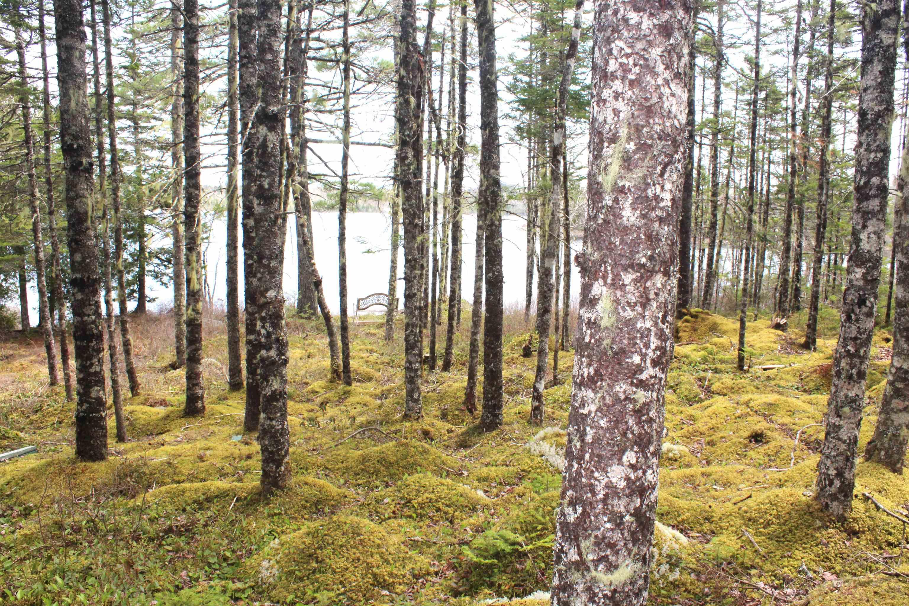 1A Lake Charlotte photo #12