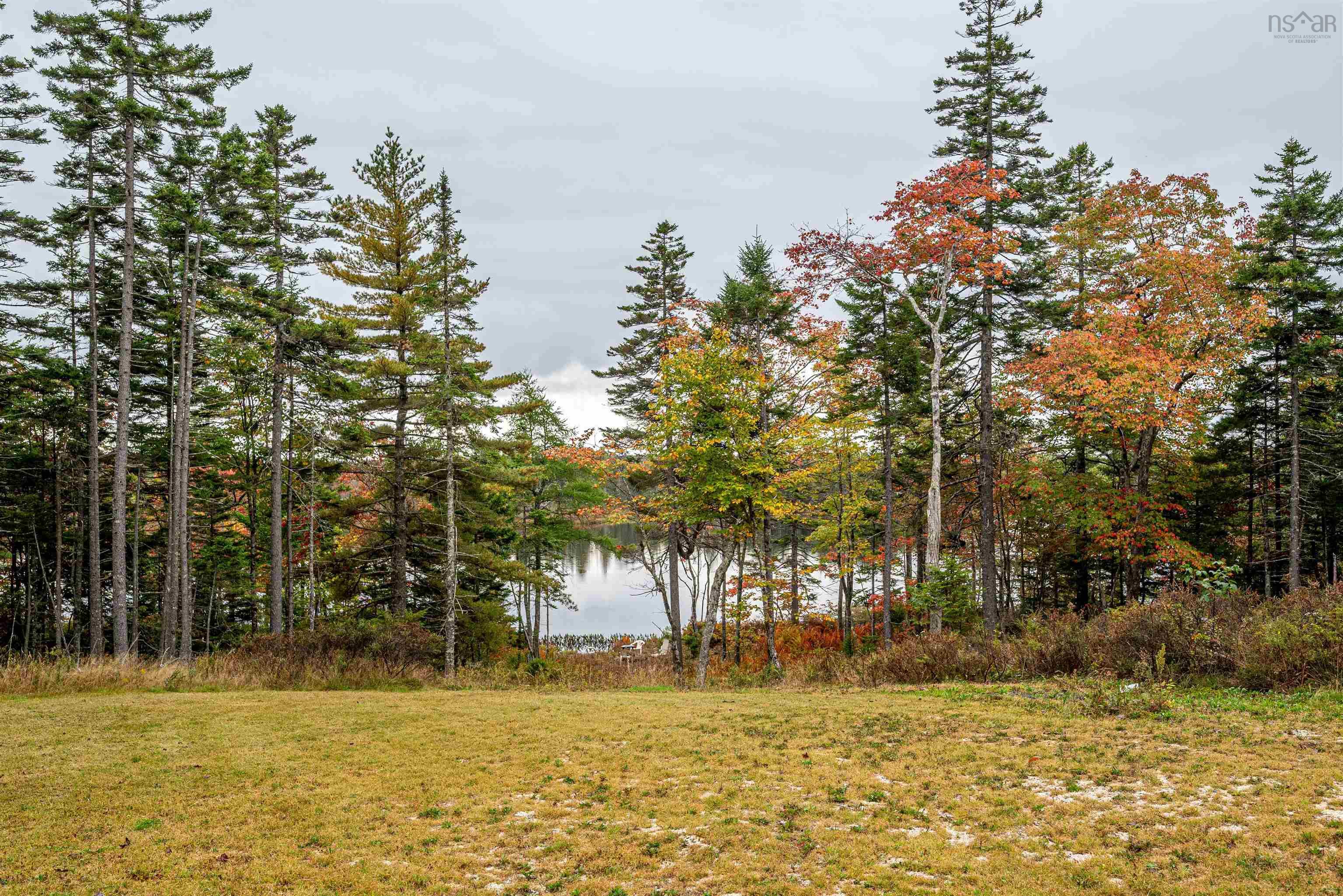 142 Voyager Way photo #26