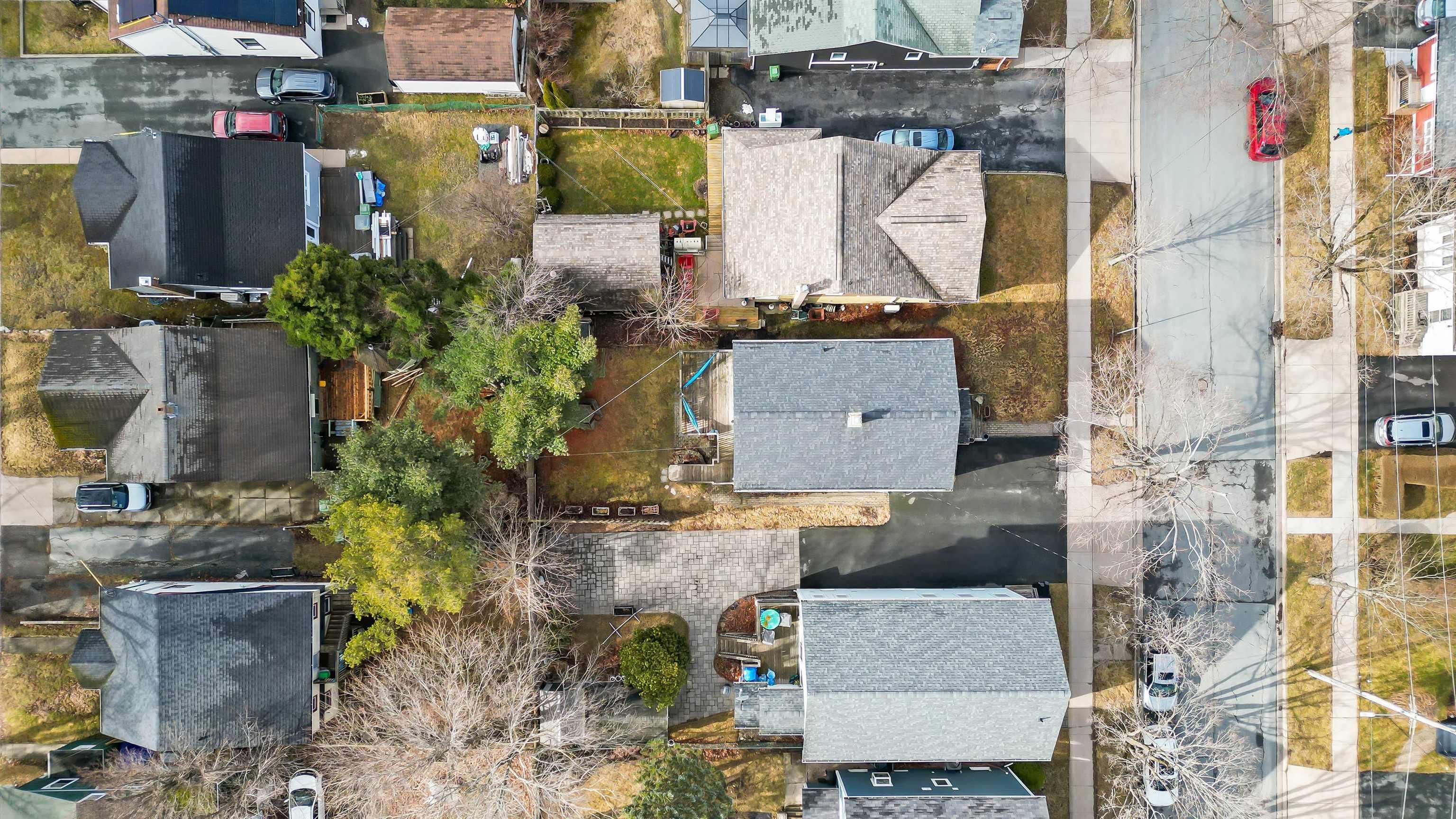 6562 Edinburgh Street photo #28