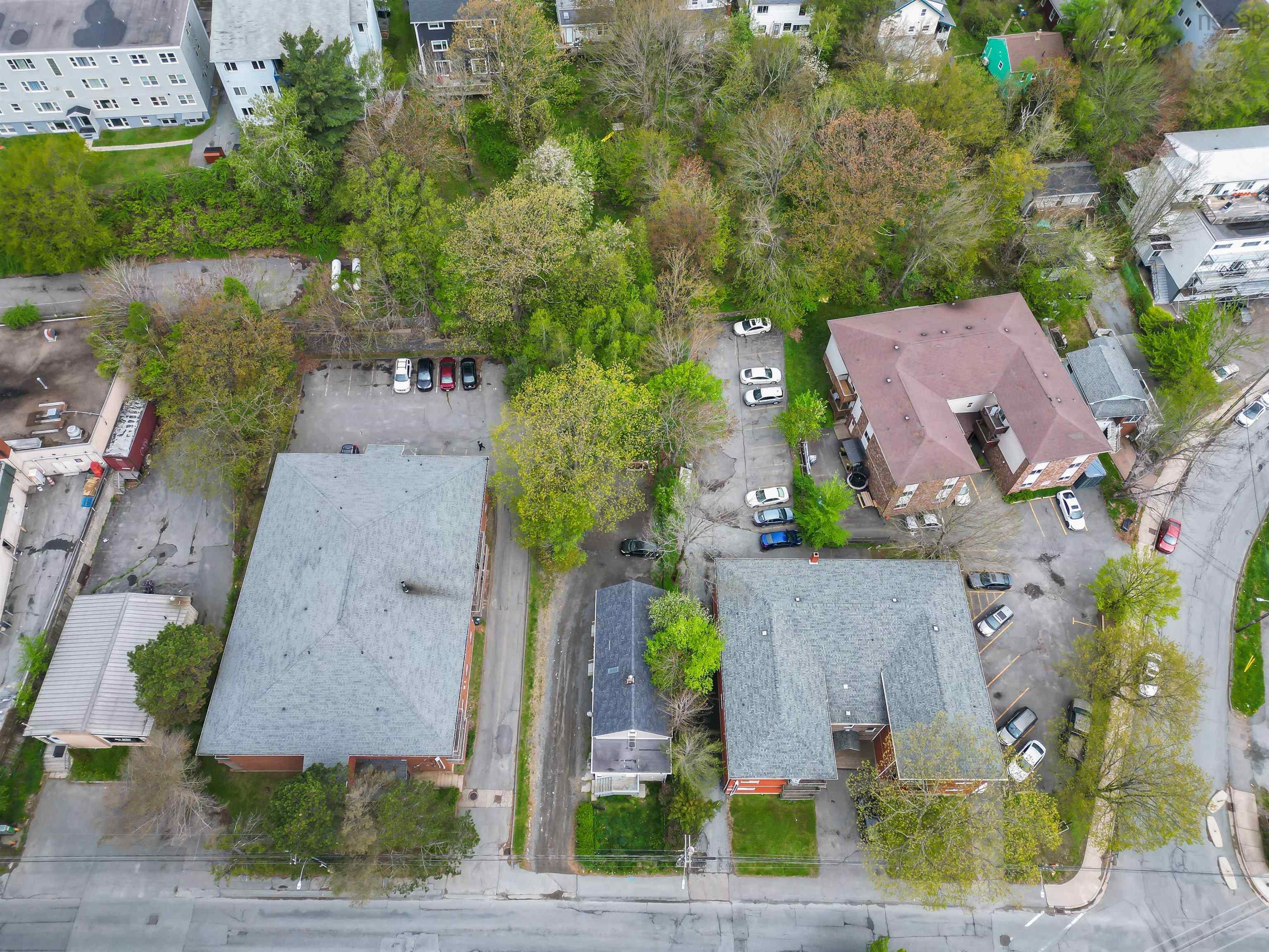 7 & 7A Alma Cres Crescent photo #11