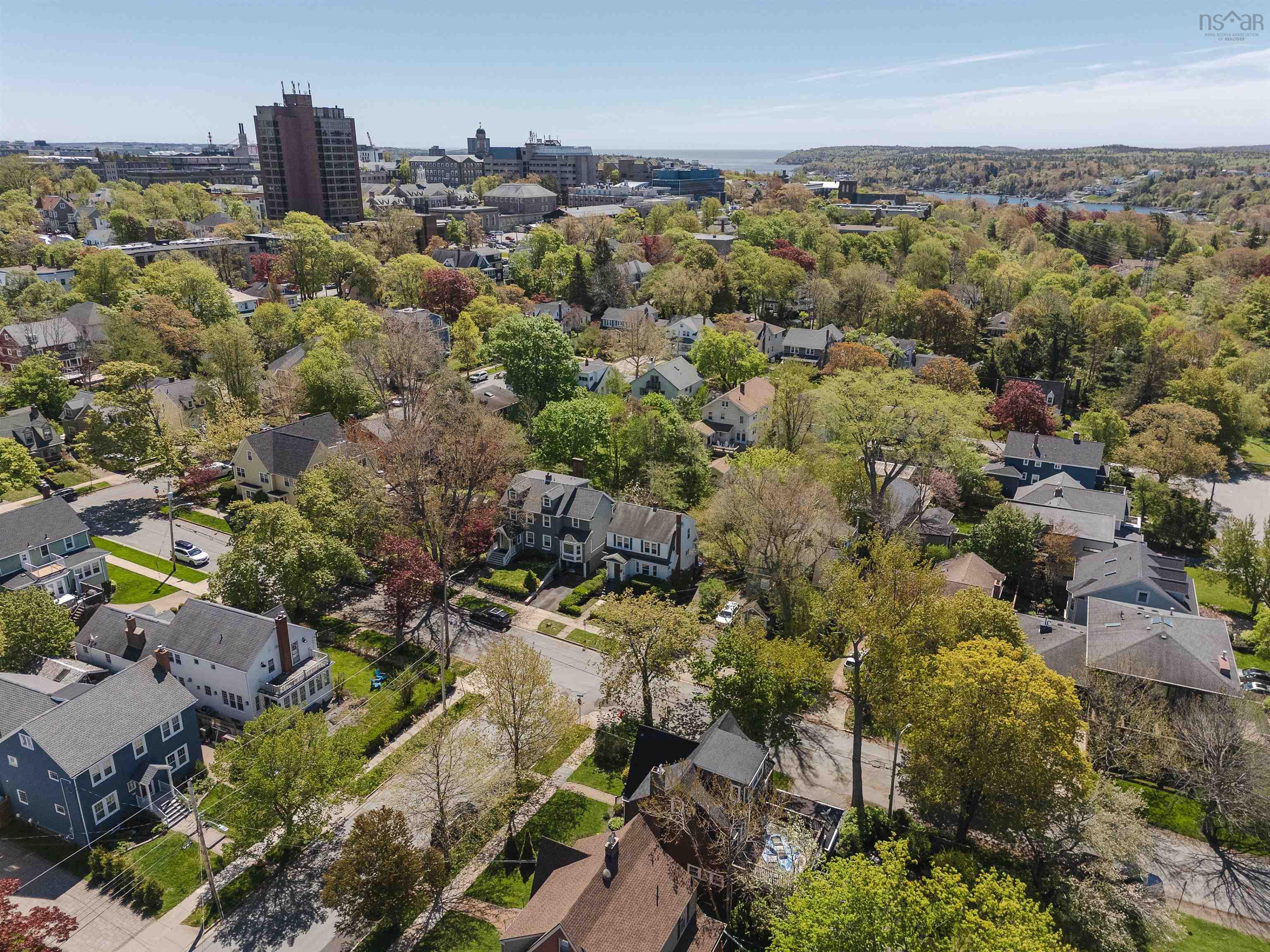 6530 Geldert Street photo #3