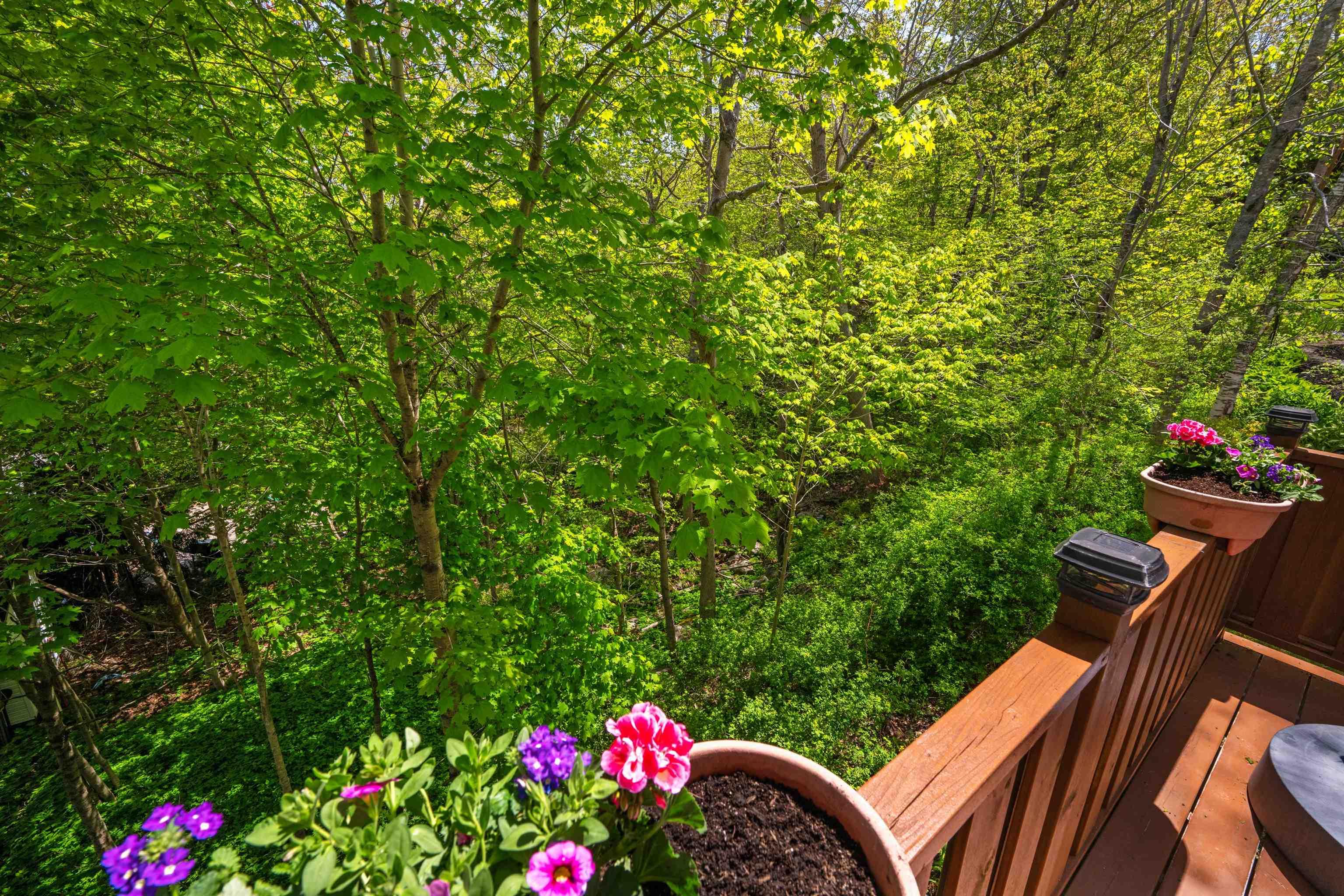 12 Mount Royal Court photo #47