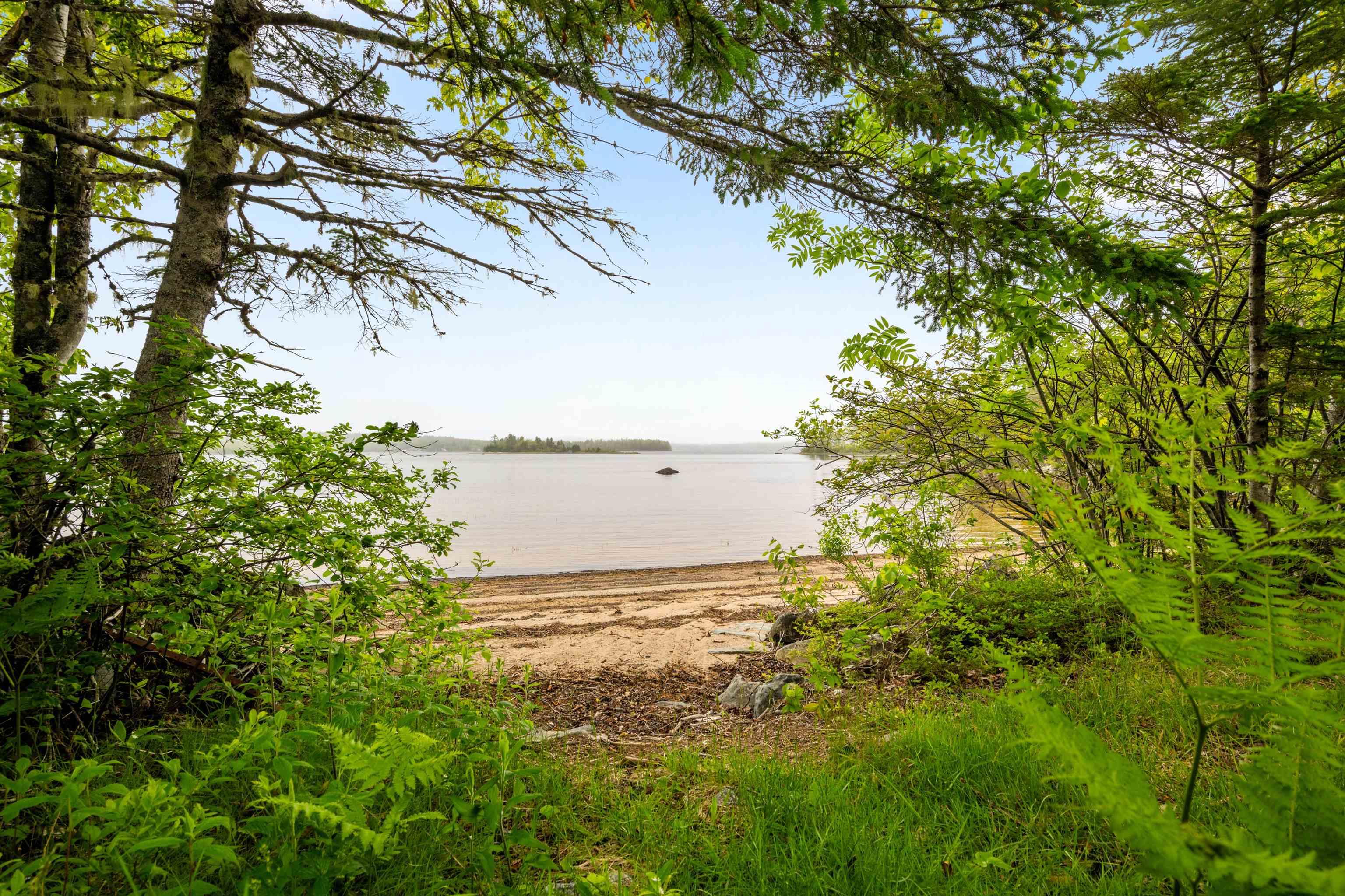 7 Daylily Lane photo #30