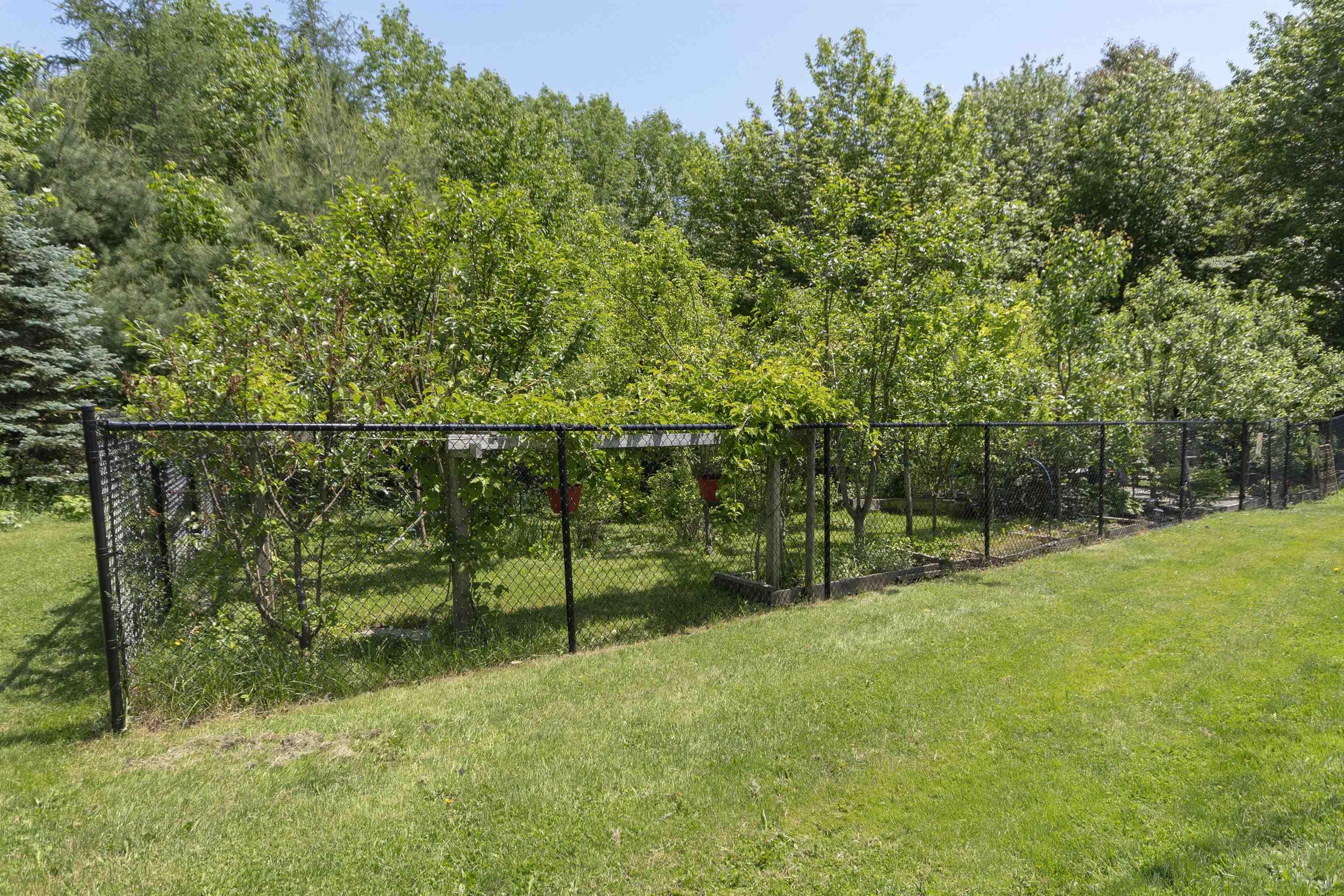 202 Lindforest Court photo #5