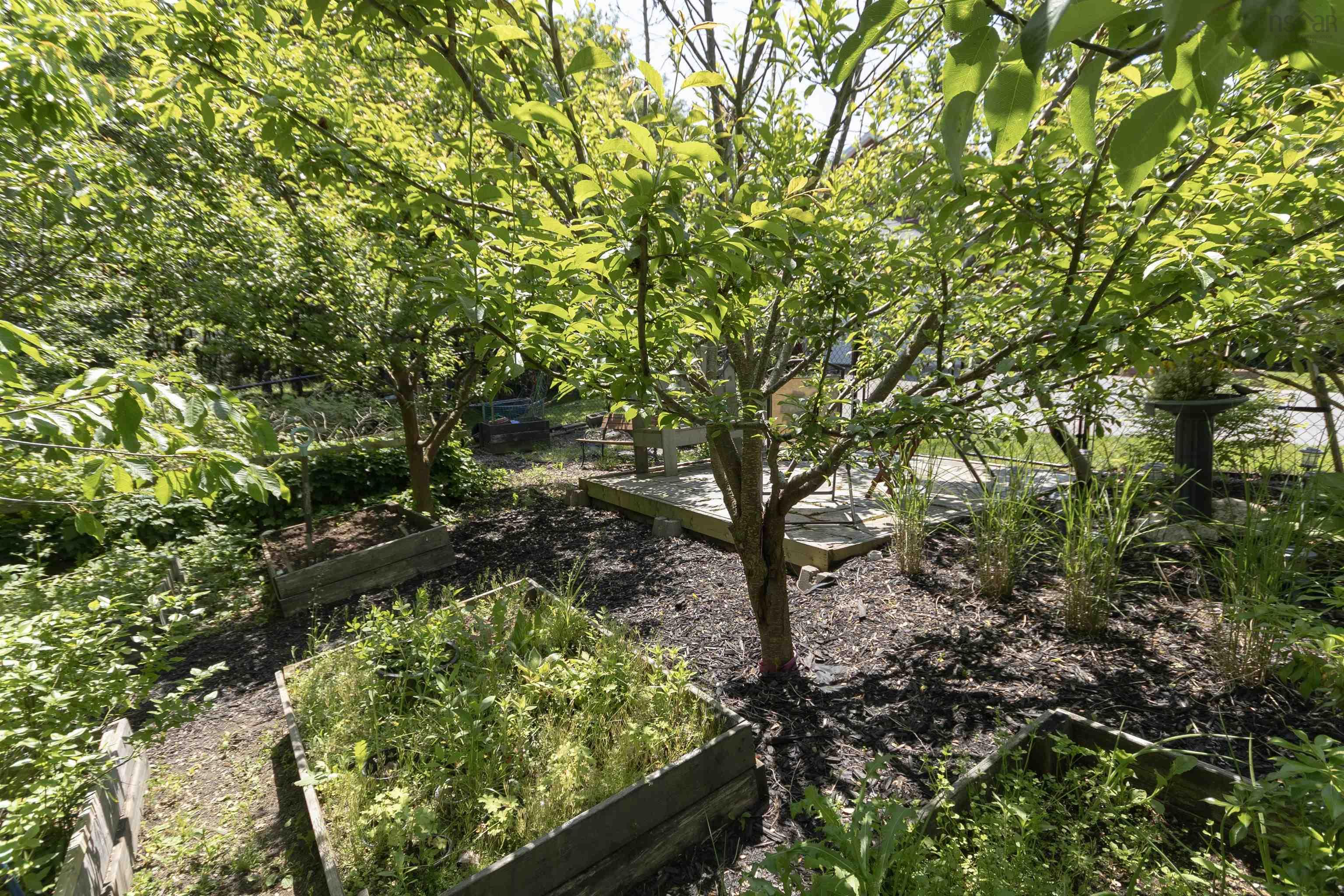 202 Lindforest Court photo #48